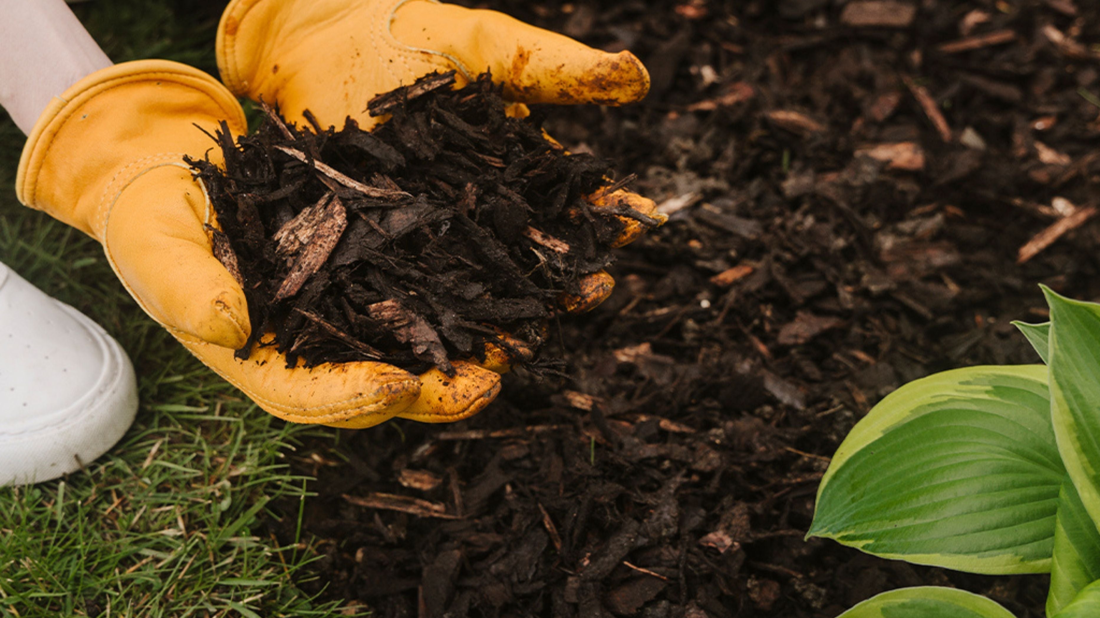 The Complete Guide to Composting at Home