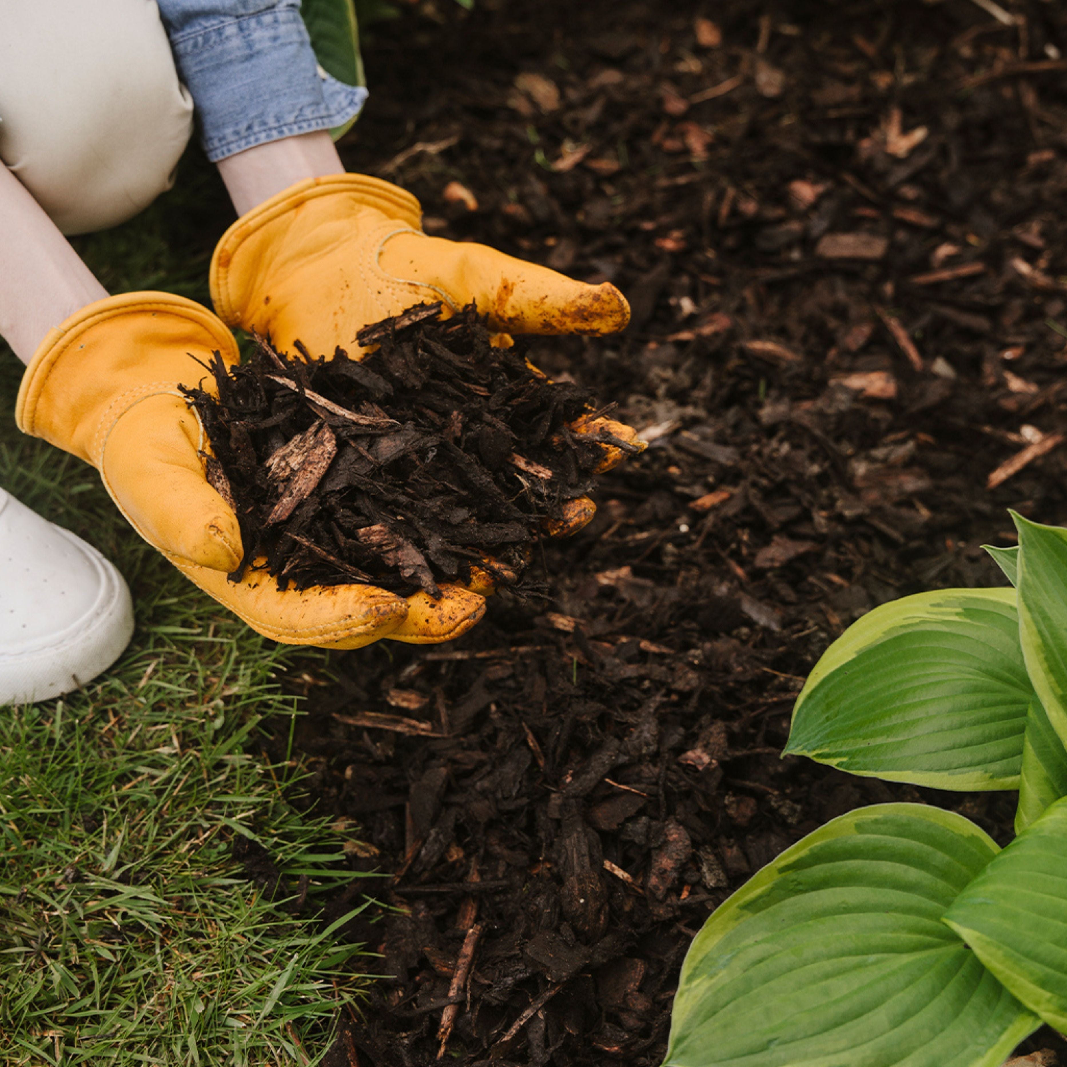 The Complete Guide to Composting at Home