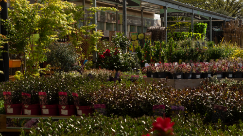 What does 'Outdoor Living' really mean?