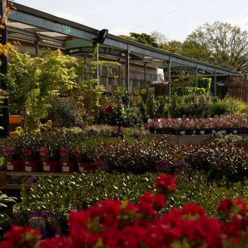 What does 'Outdoor Living' really mean?