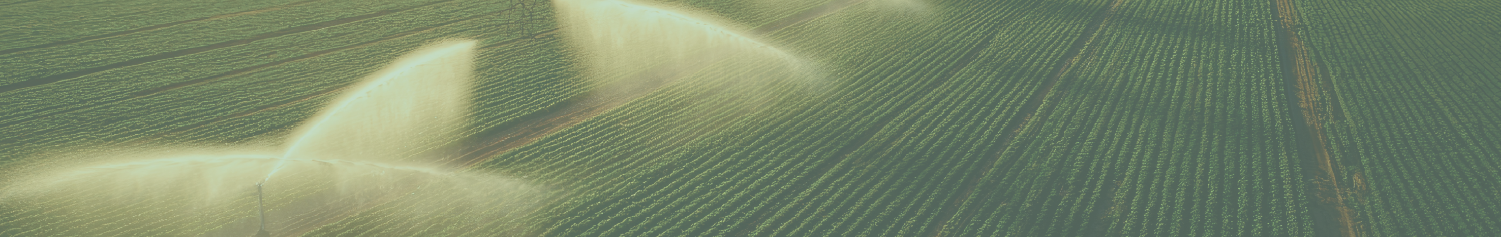 Watering & Irrigation