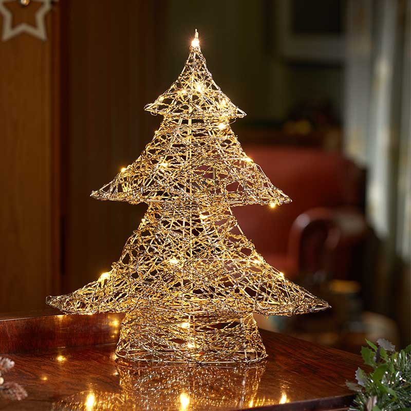 Gold Weave Wondertree 60cm