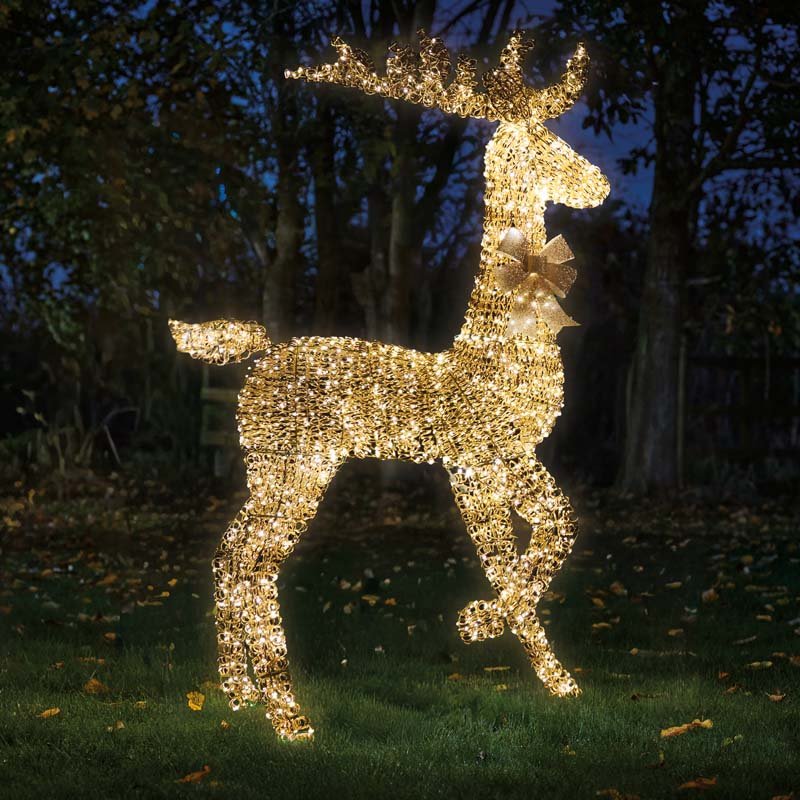 Titan Gold Stag 210cm