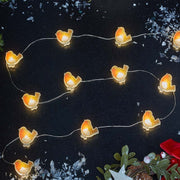 Robin String Lights
