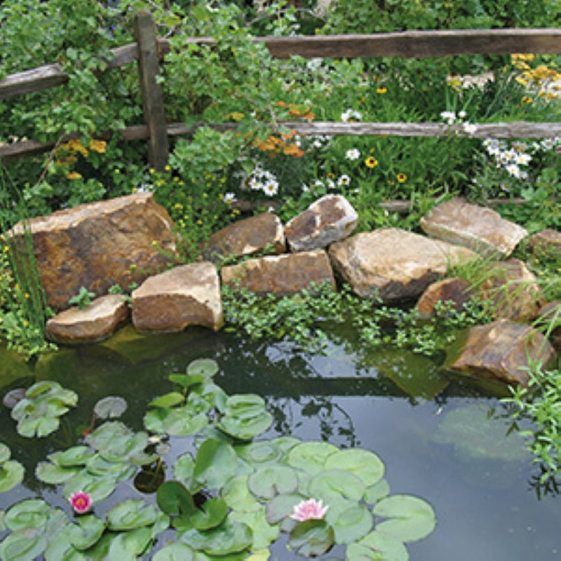 Lumbshill Rockery 250mm