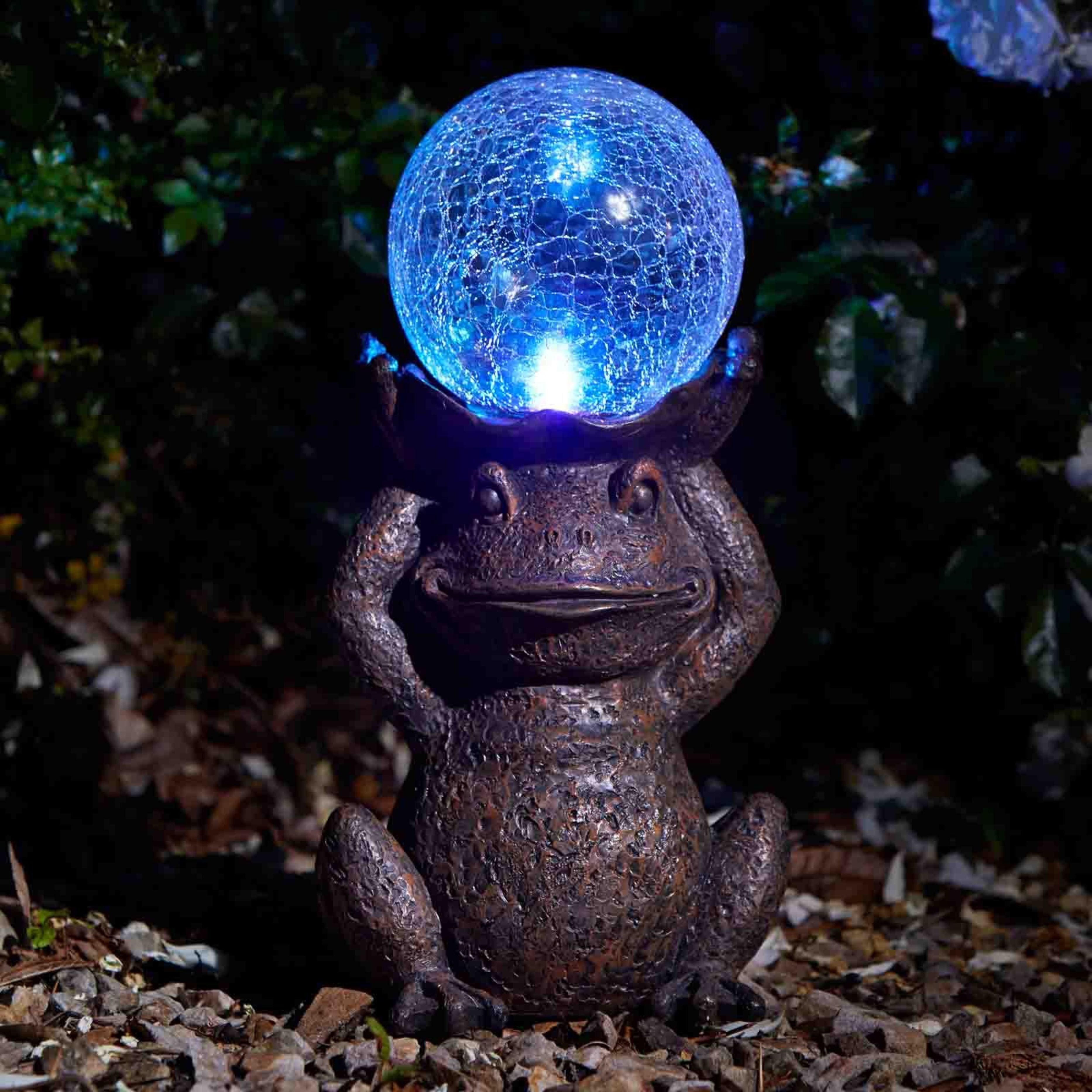 Gazing Frog