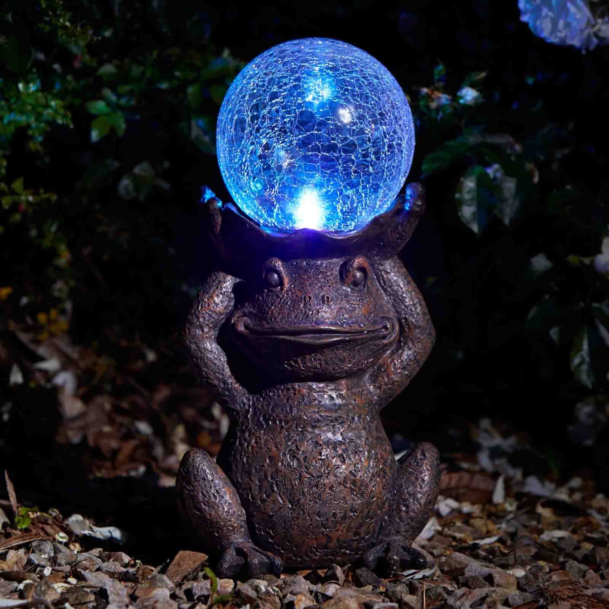 Gazing Frog