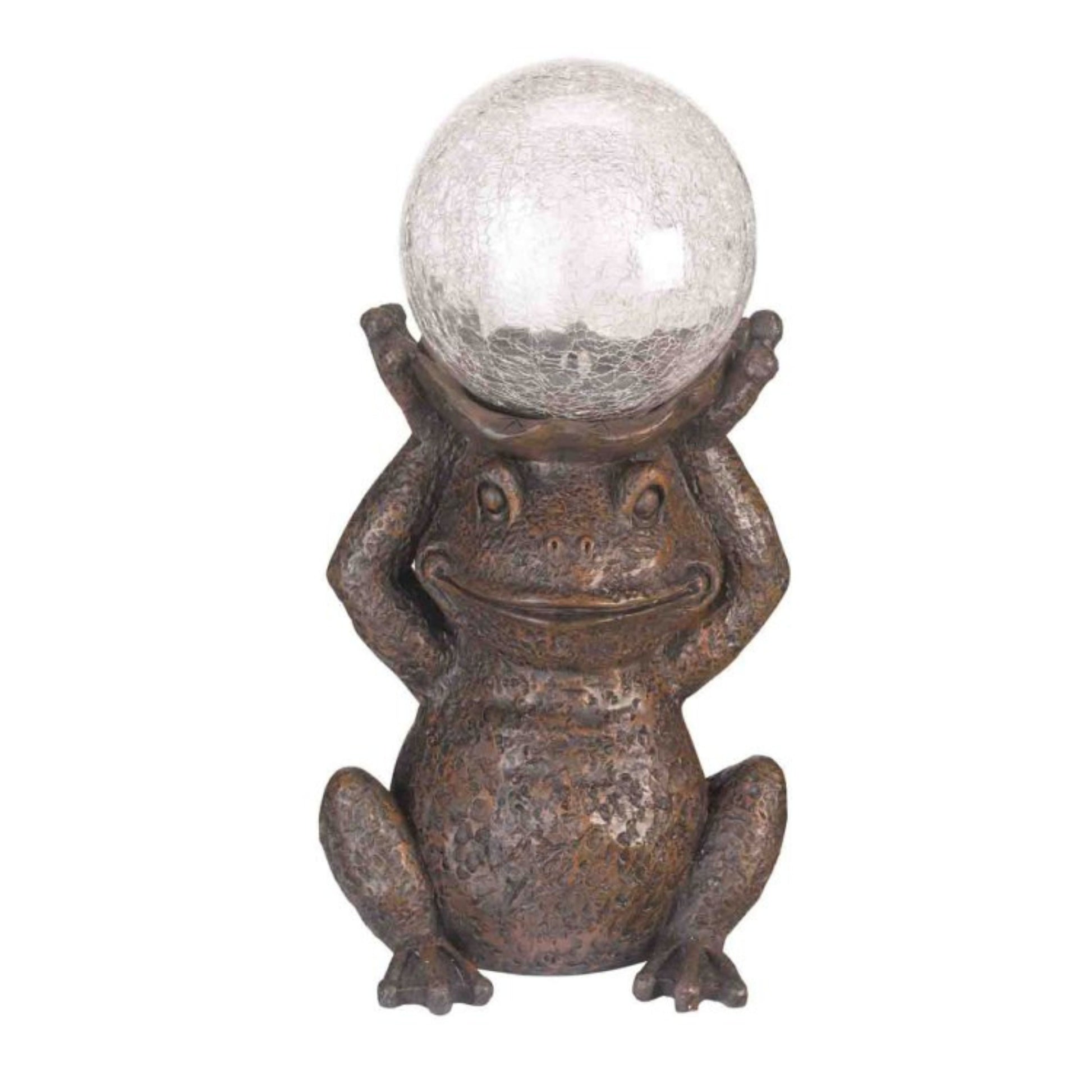 Gazing Frog