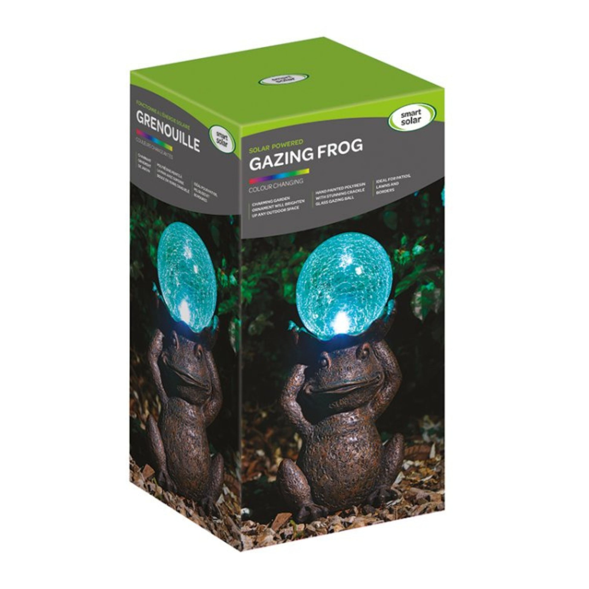 Gazing Frog