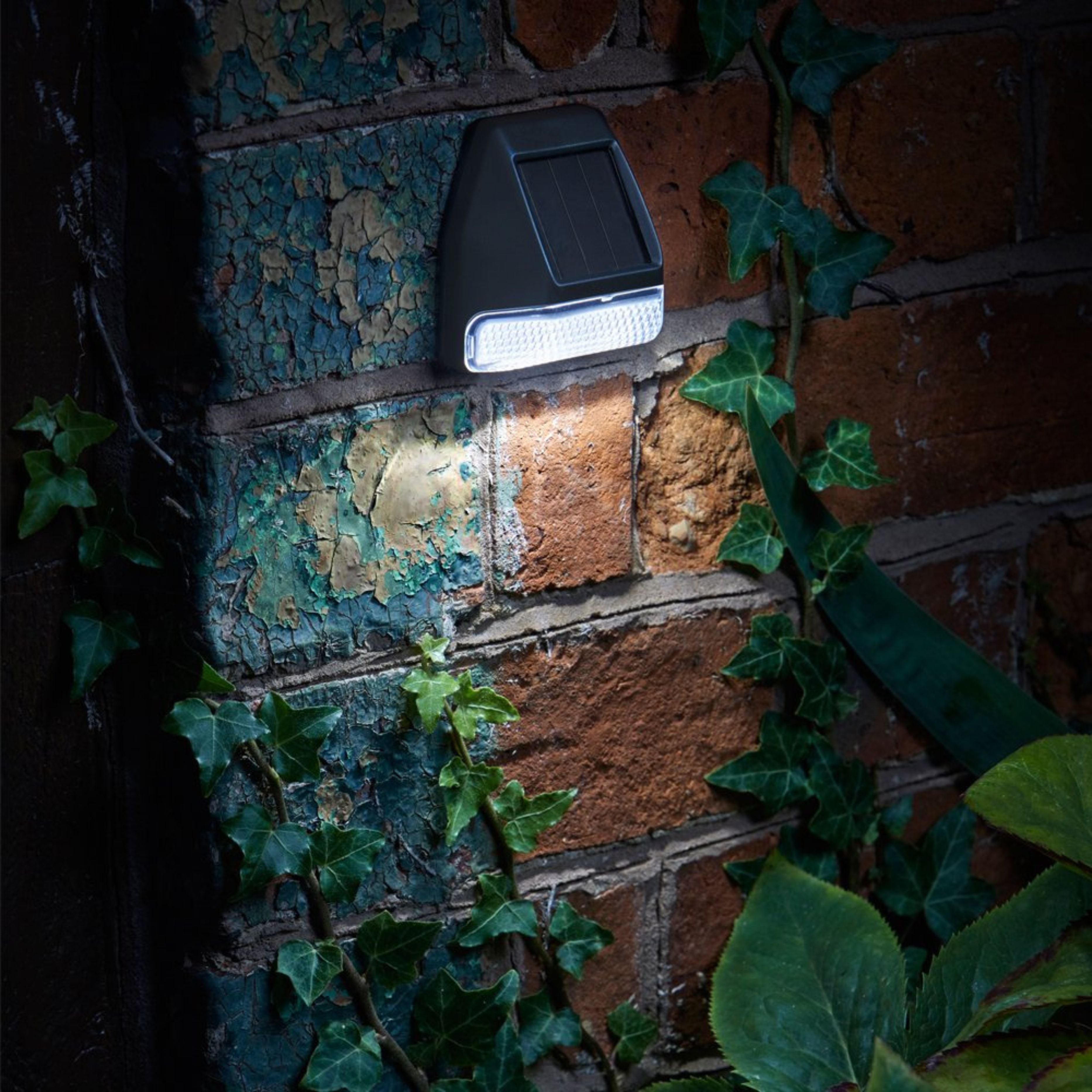 Fence,Wall & Post Light