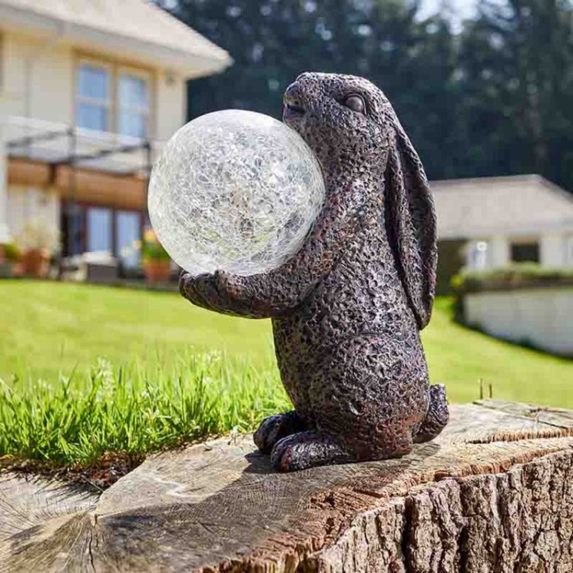 Hare Magic