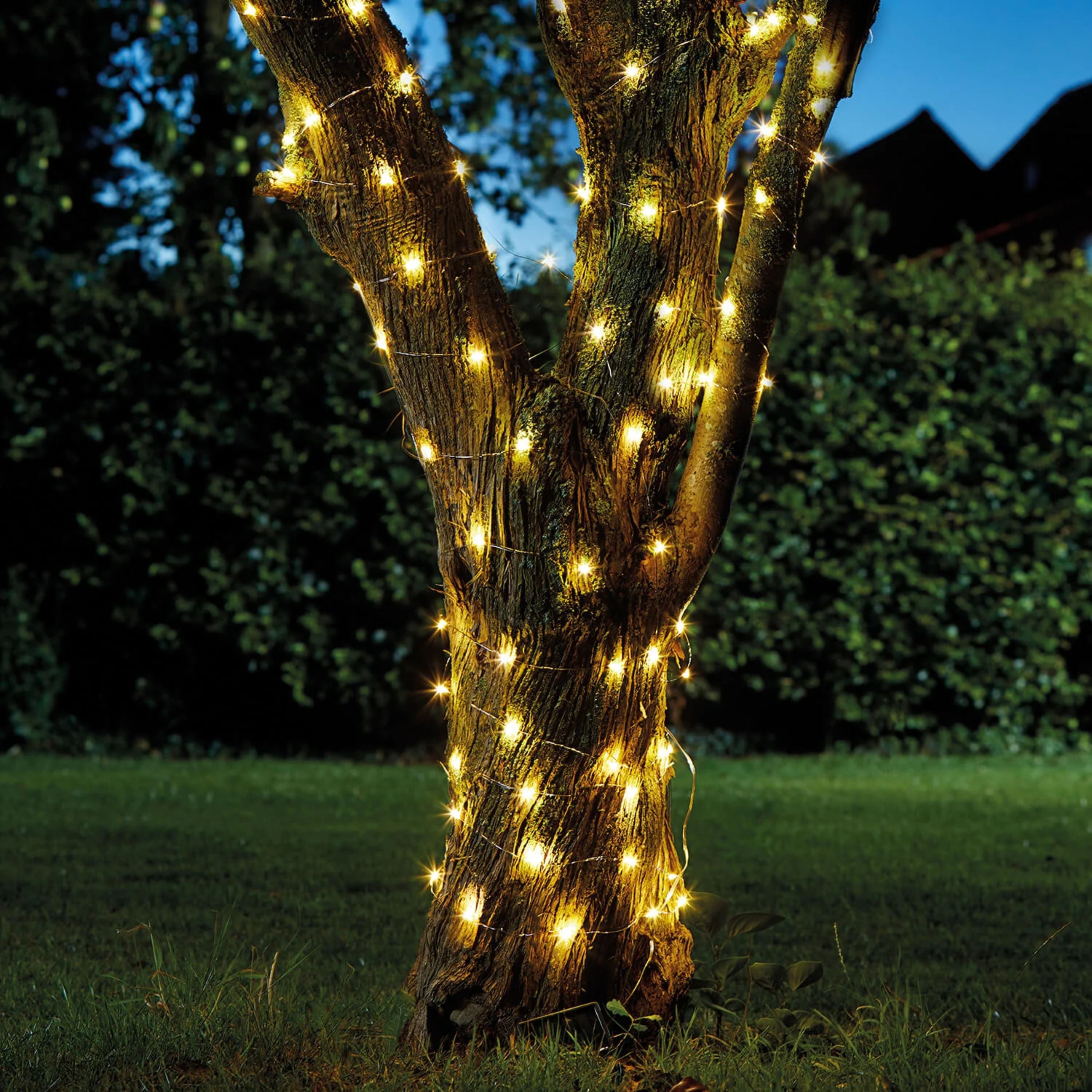 Battery Firefly String Lights 25 LED's