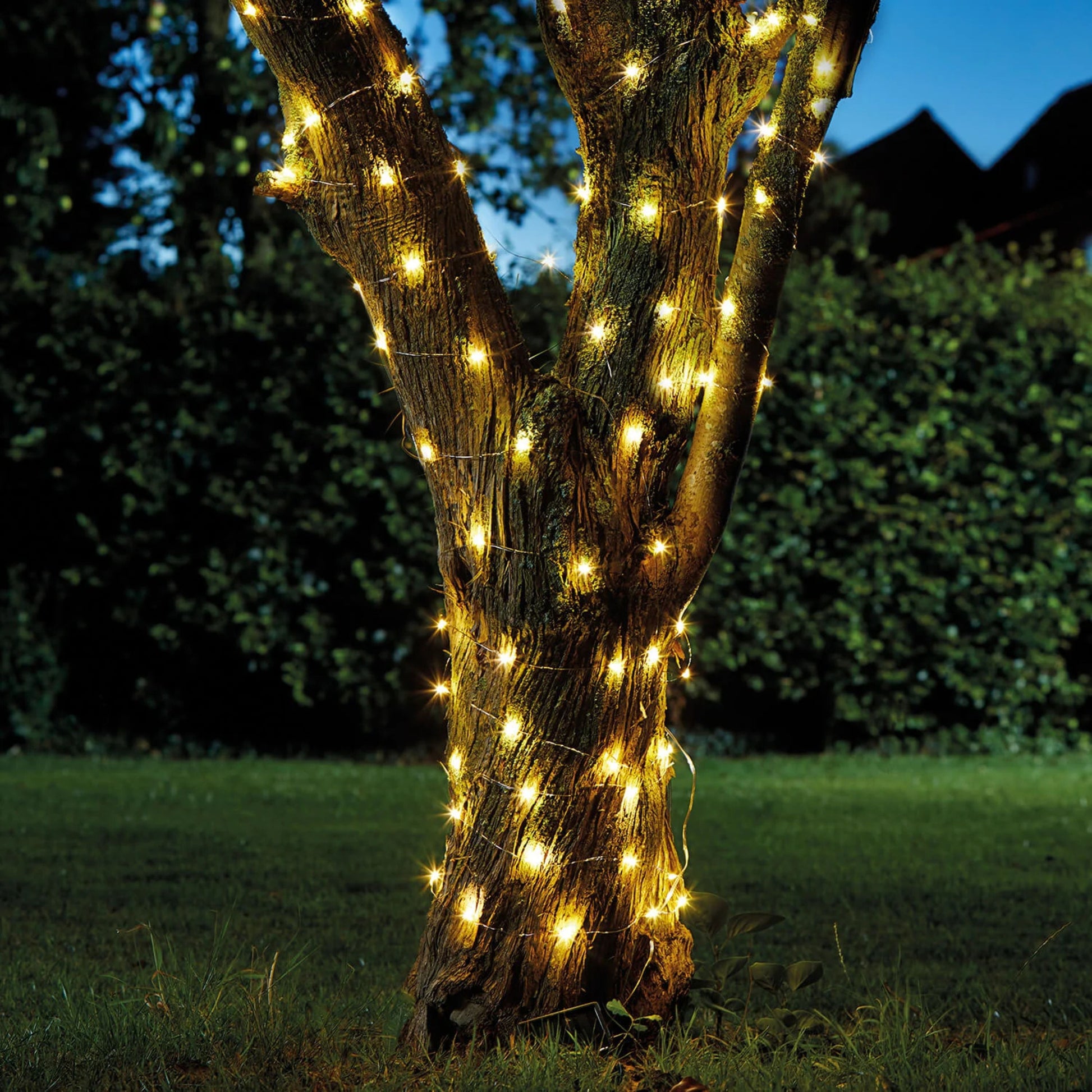 Battery Firefly String Lights 25 LED's