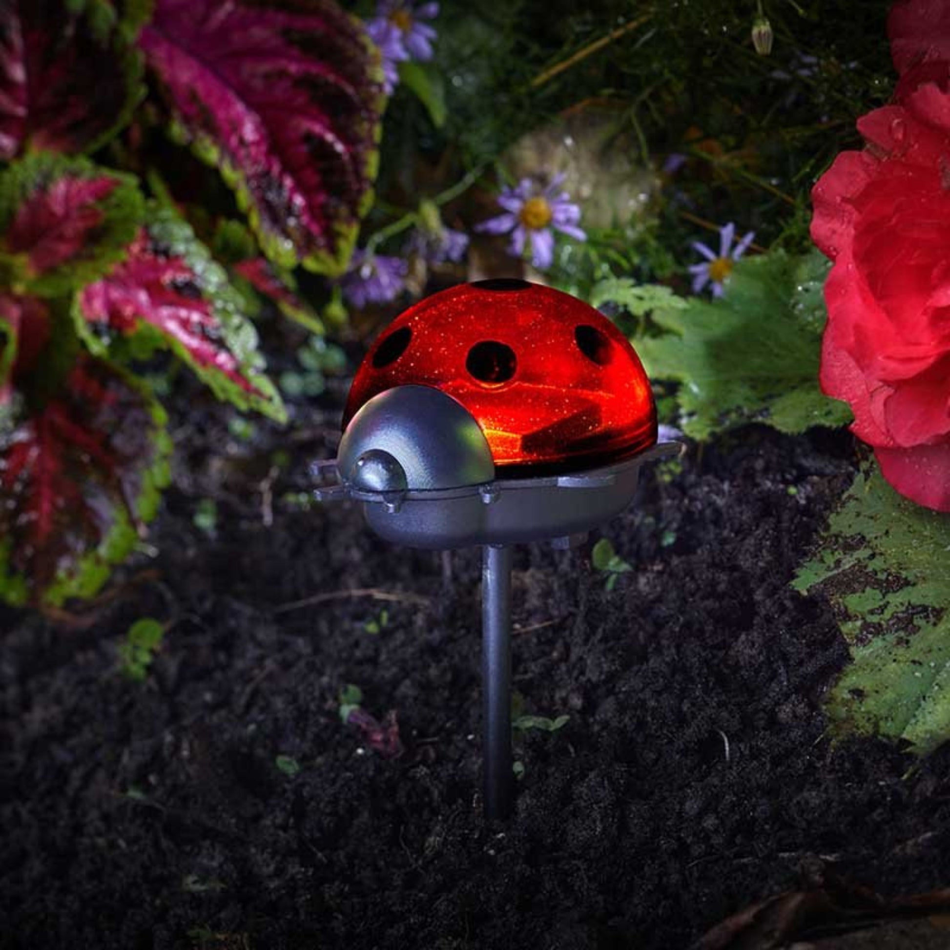 Ladybird Stake - Triple Pack
