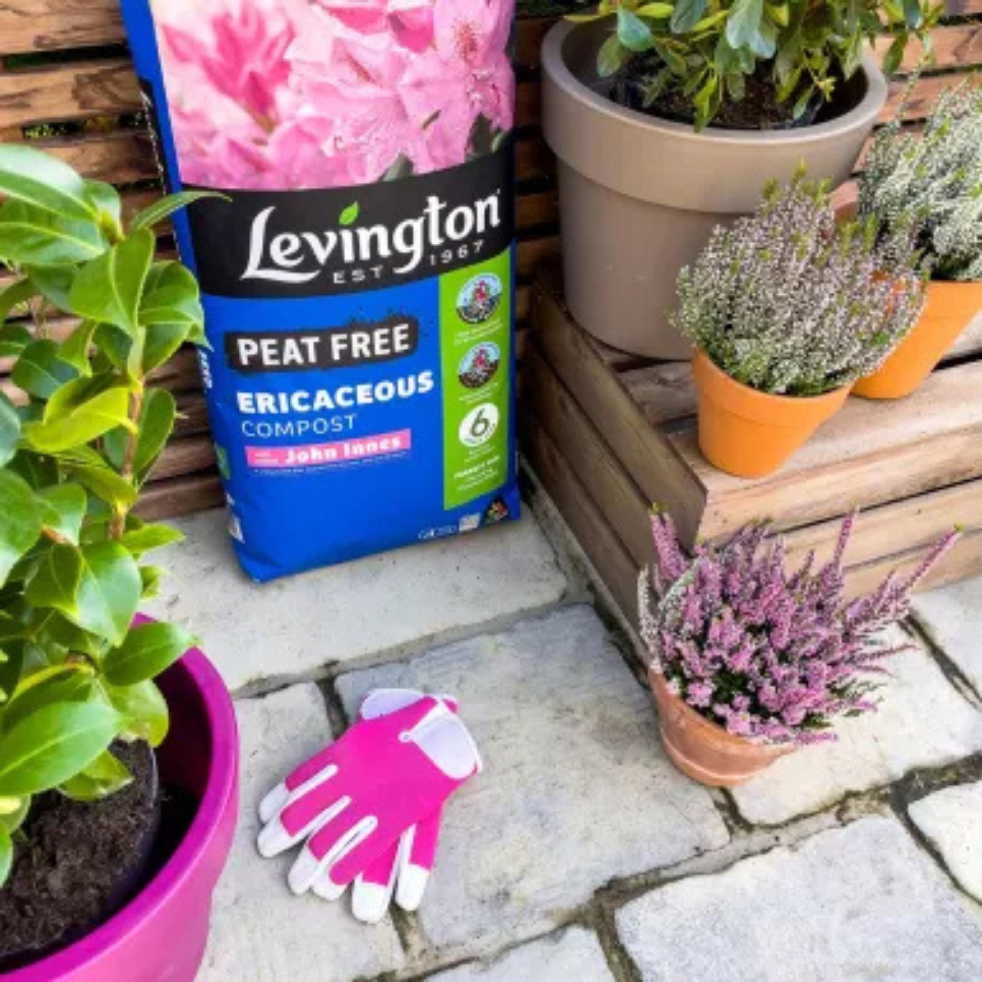 Levington 25L John Innes Ericaceous Compost