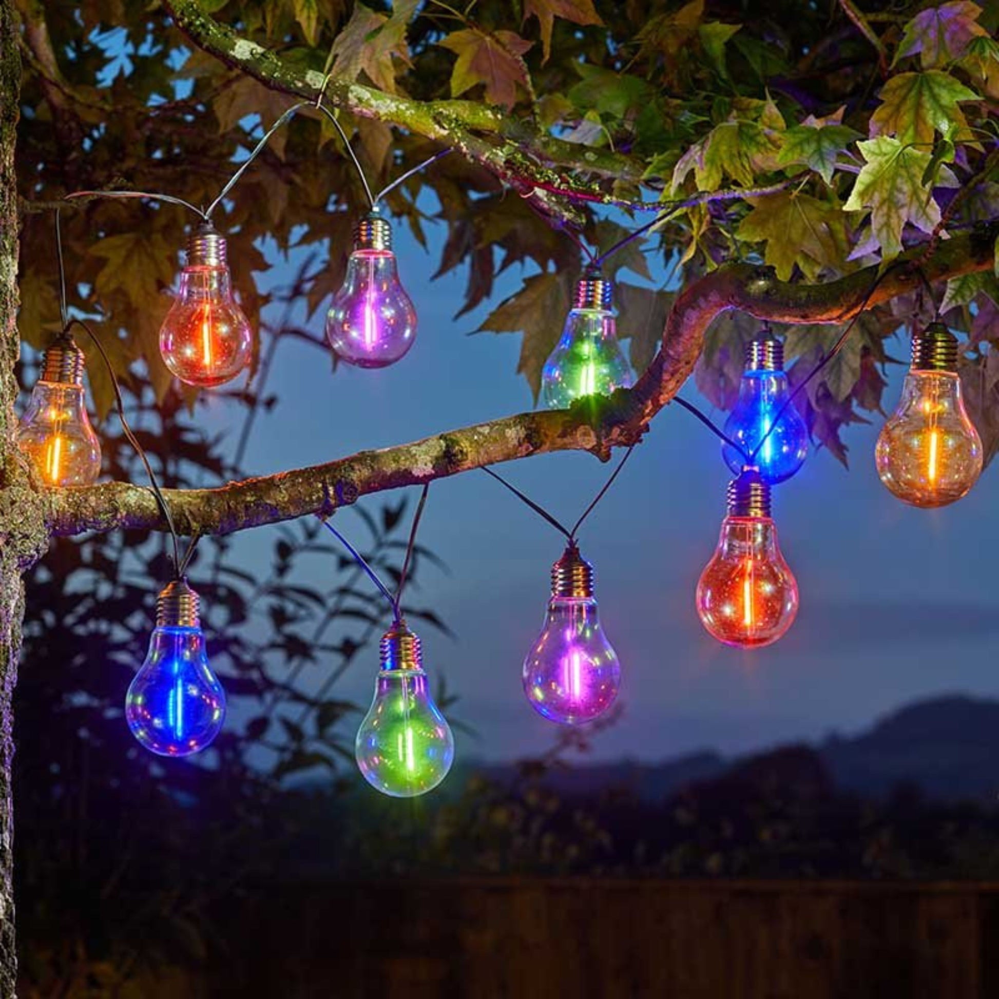 Eureka! NeonEsque Lightbulbs