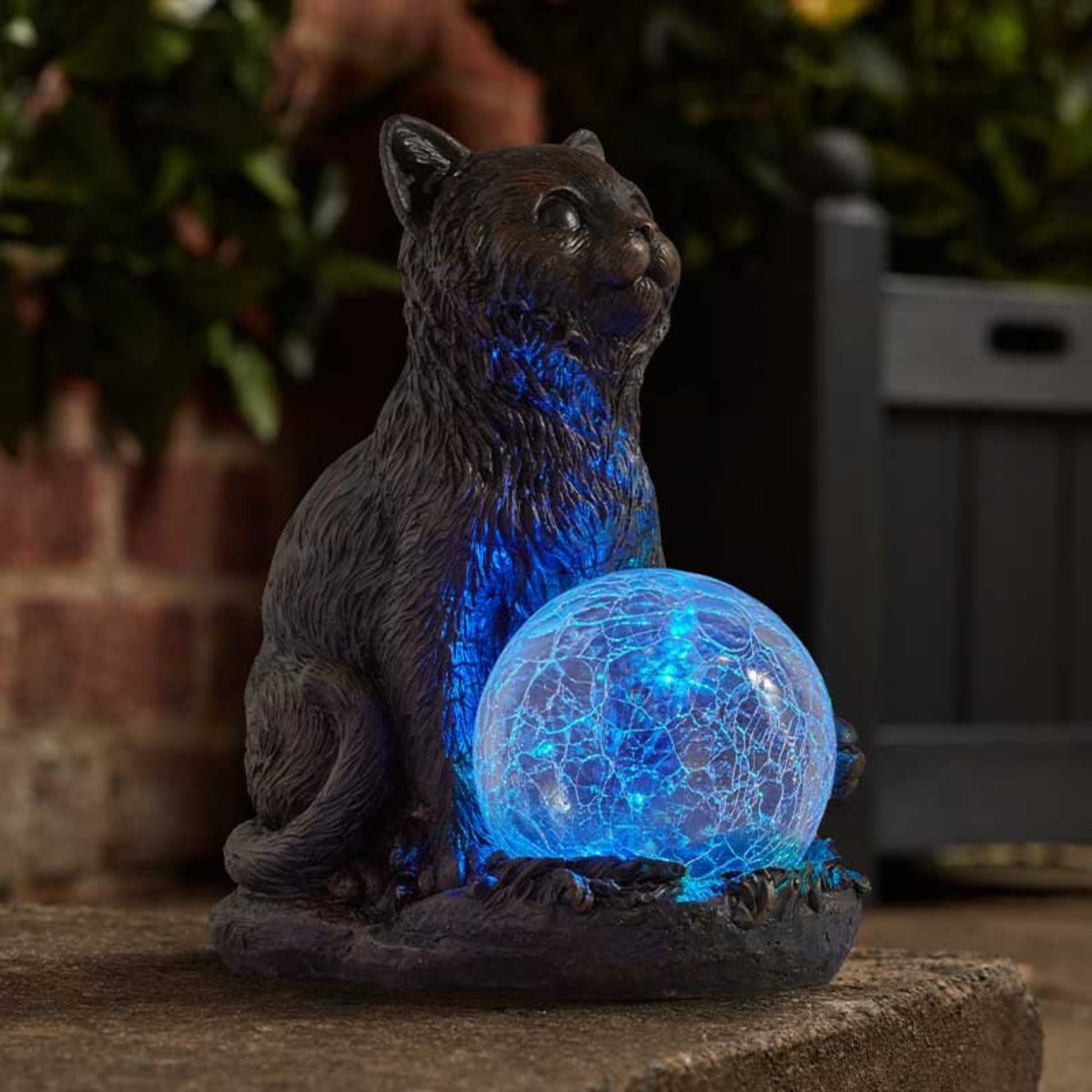 Mystic Mog Solar Light