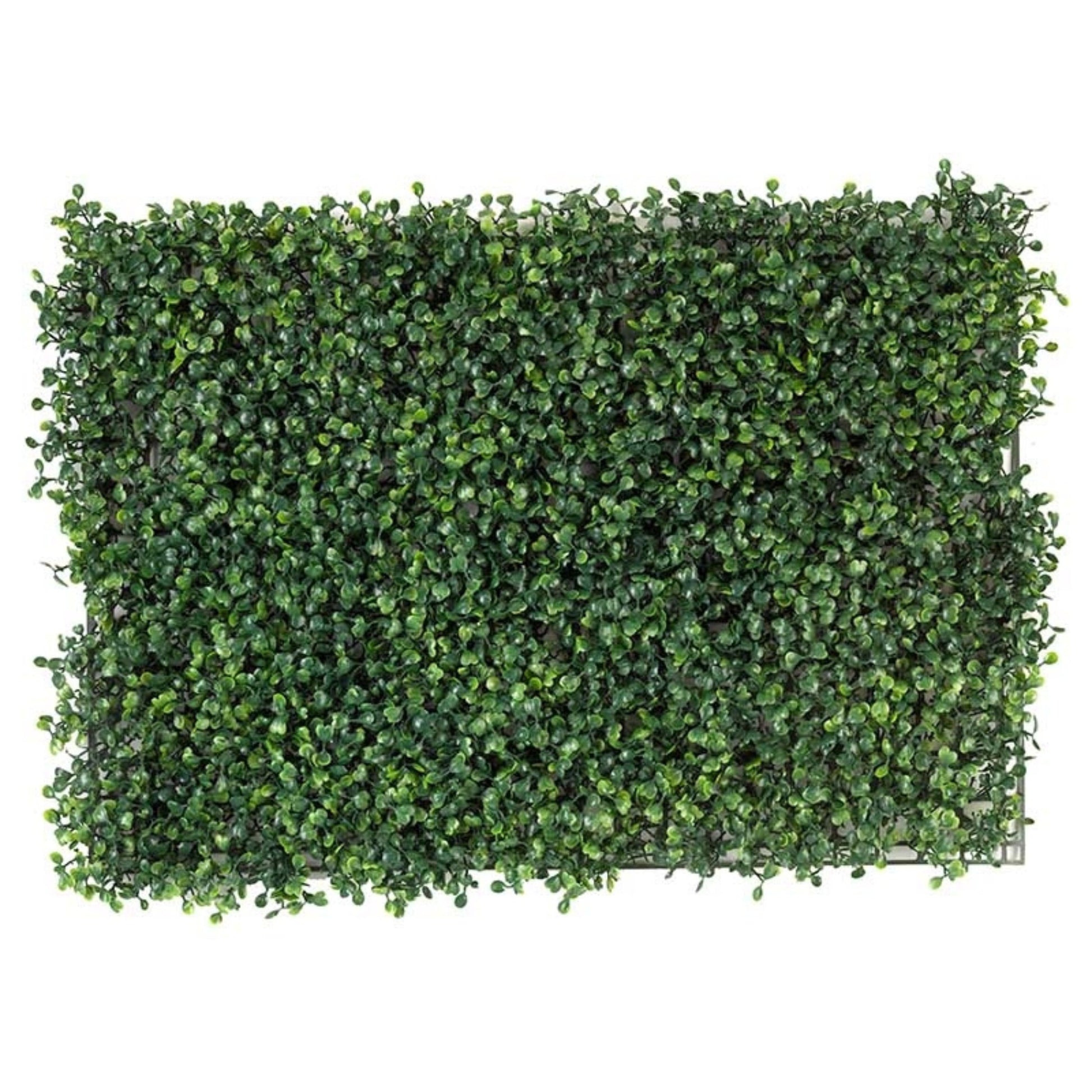 Boxwood Screening Panel