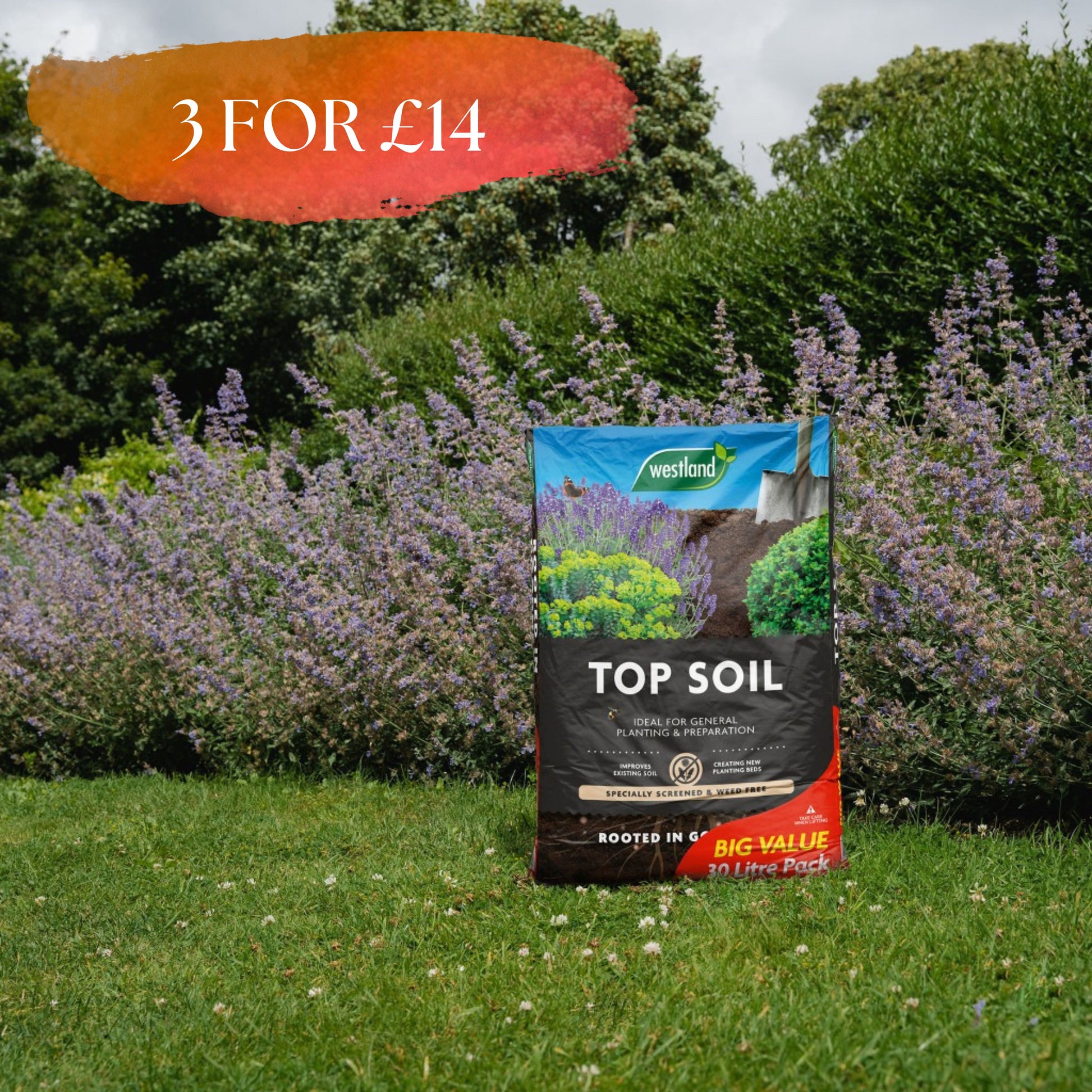 Westland Top Soil 30L (Extra Value Bag)