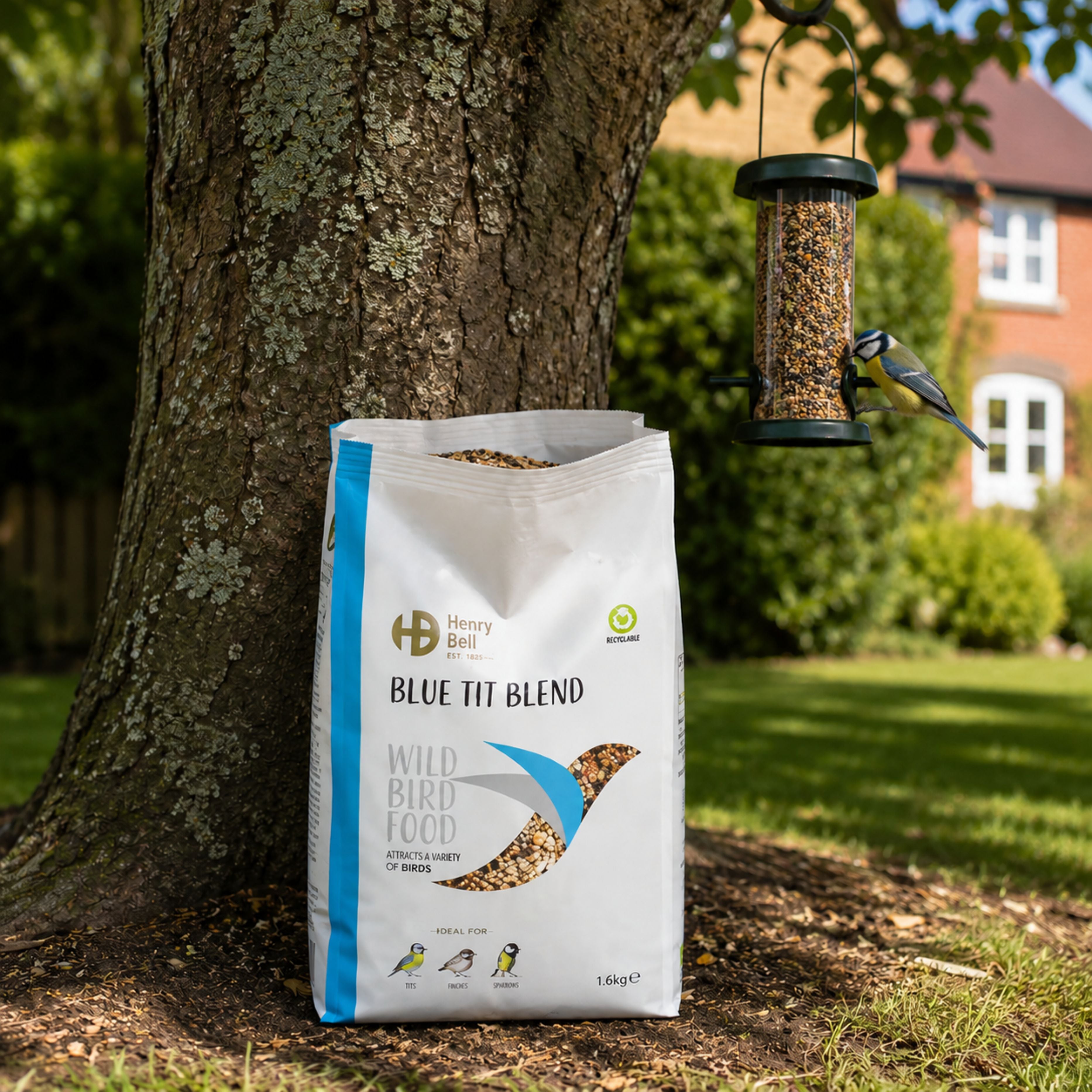 Henry Bell Blue Tit Blend – Premium Wild Bird Seed Mix