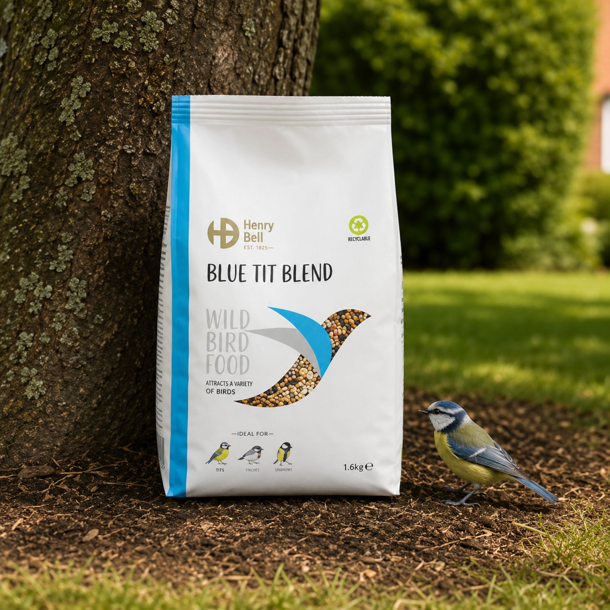 Henry Bell Blue Tit Blend – Premium Wild Bird Seed Mix
