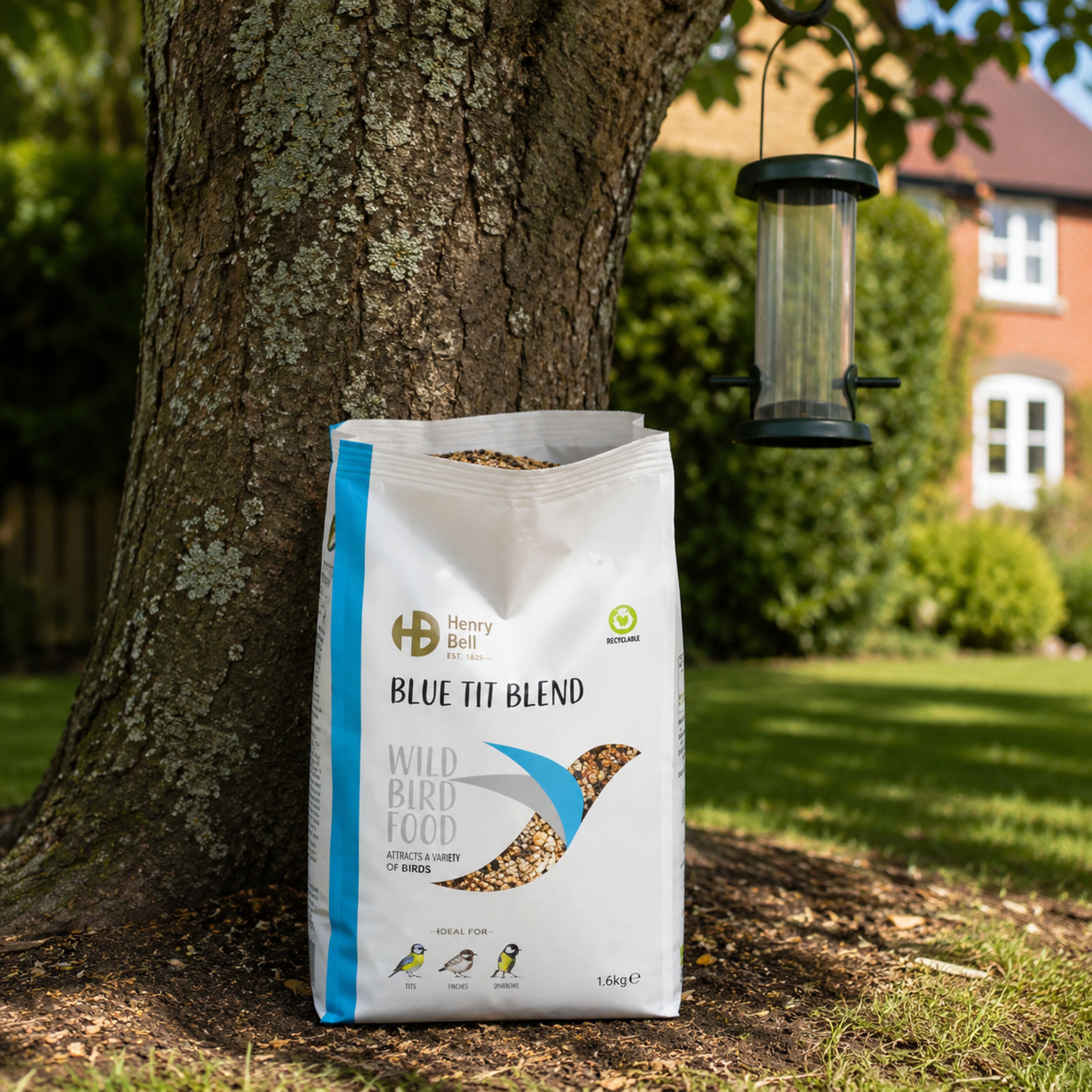 Henry Bell Blue Tit Blend – Premium Wild Bird Seed Mix