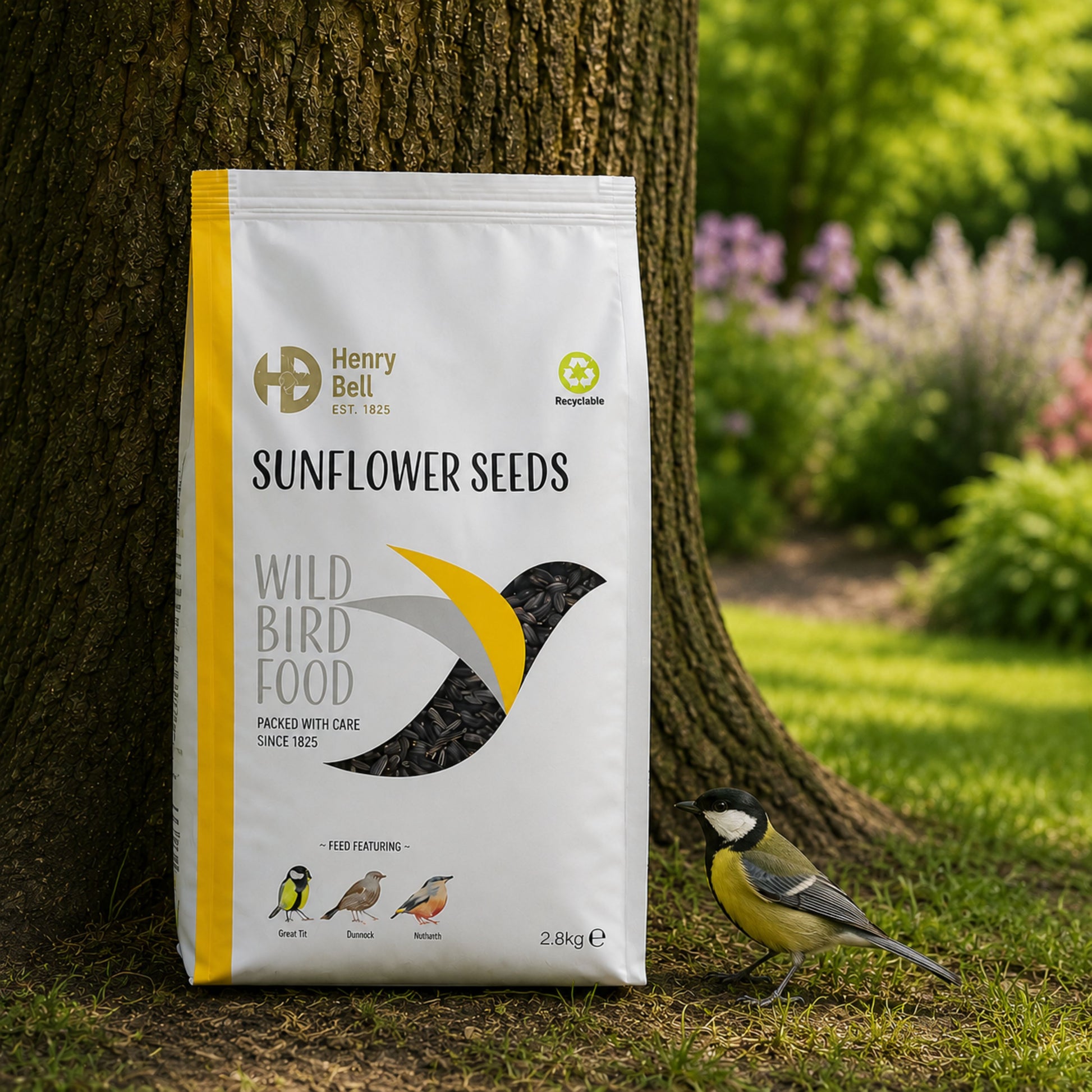 Henry Bell Sunflower Seeds – Wild Bird Food