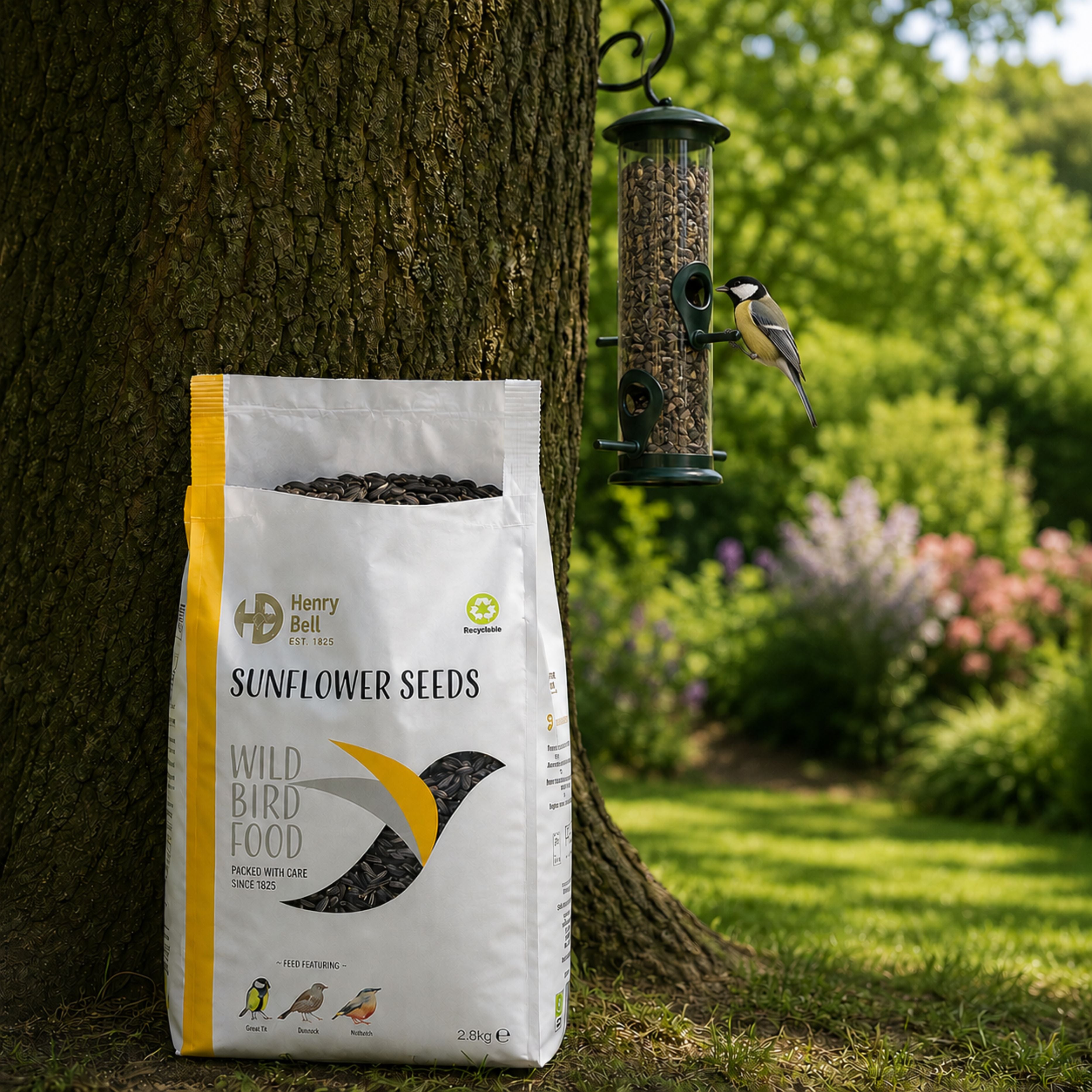 Henry Bell Sunflower Seeds – Wild Bird Food