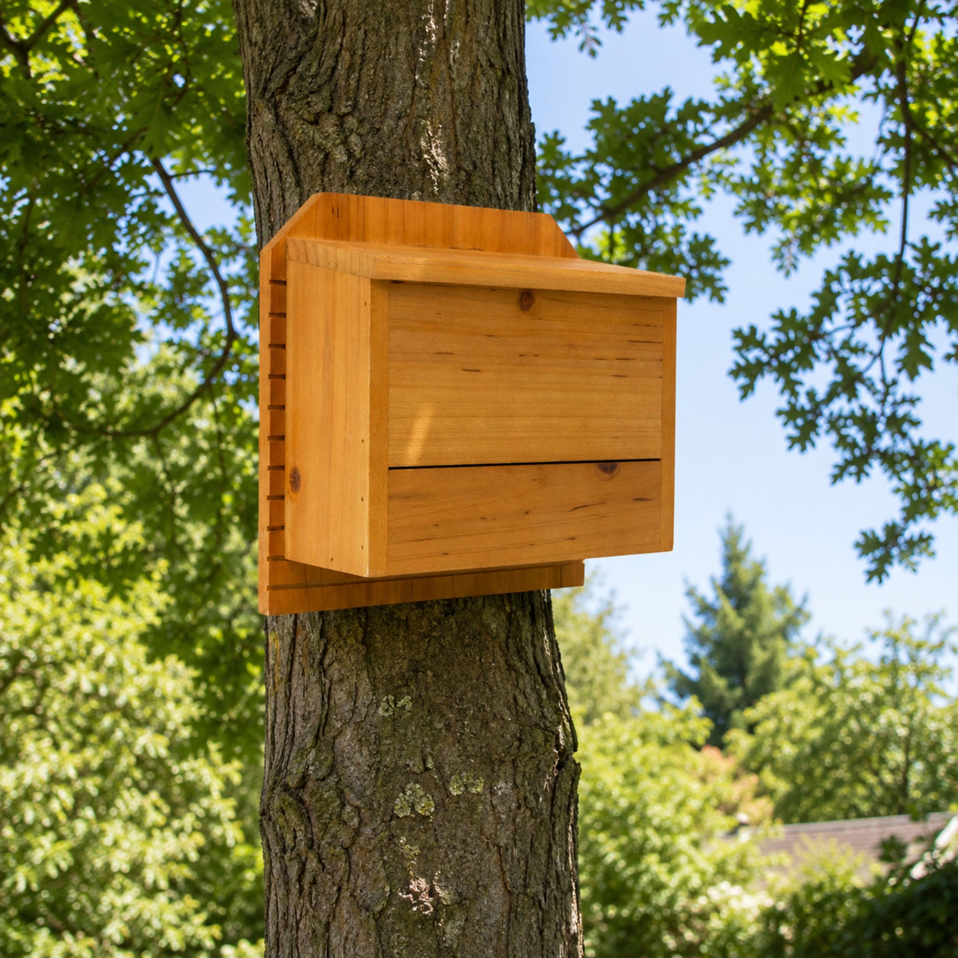 Henry Bell Bat House – Wooden Wildlife Bat Box