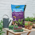 Westland John Innes Peat Free No.1 Young Plant Compost 28L