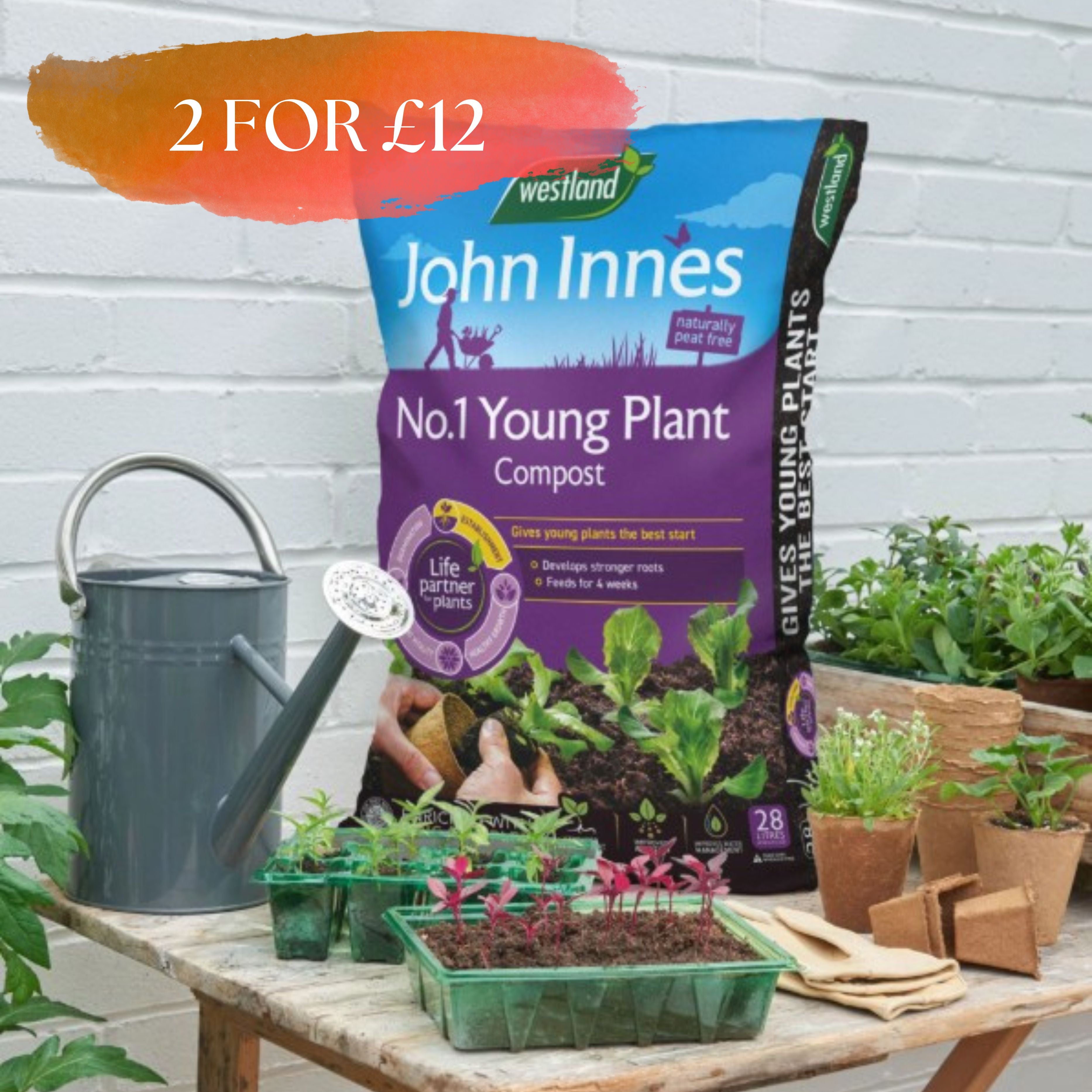 Westland John Innes Peat Free No.1 Young Plant Compost 28L