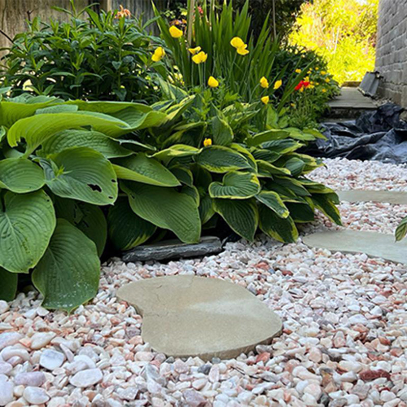 Natural Fossil Buff Paving