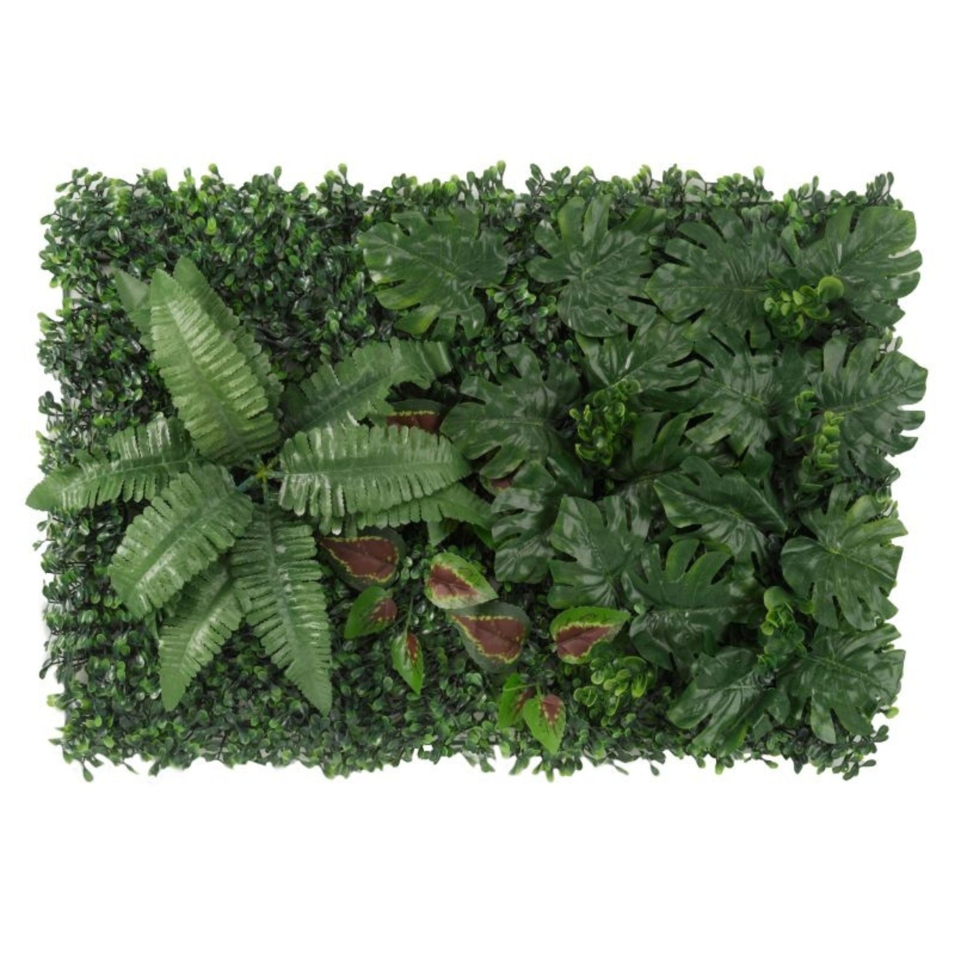 Fern Forest Screen Panel