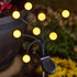 8 Stem GloGlobes Warm White