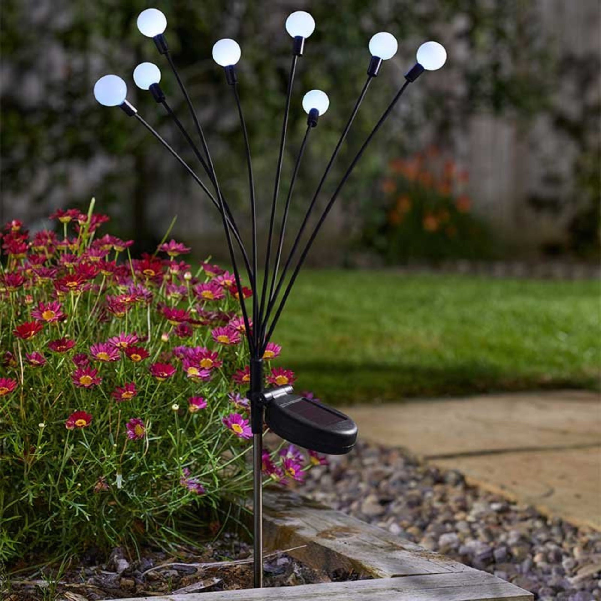 8 Stem GloGlobes Cool