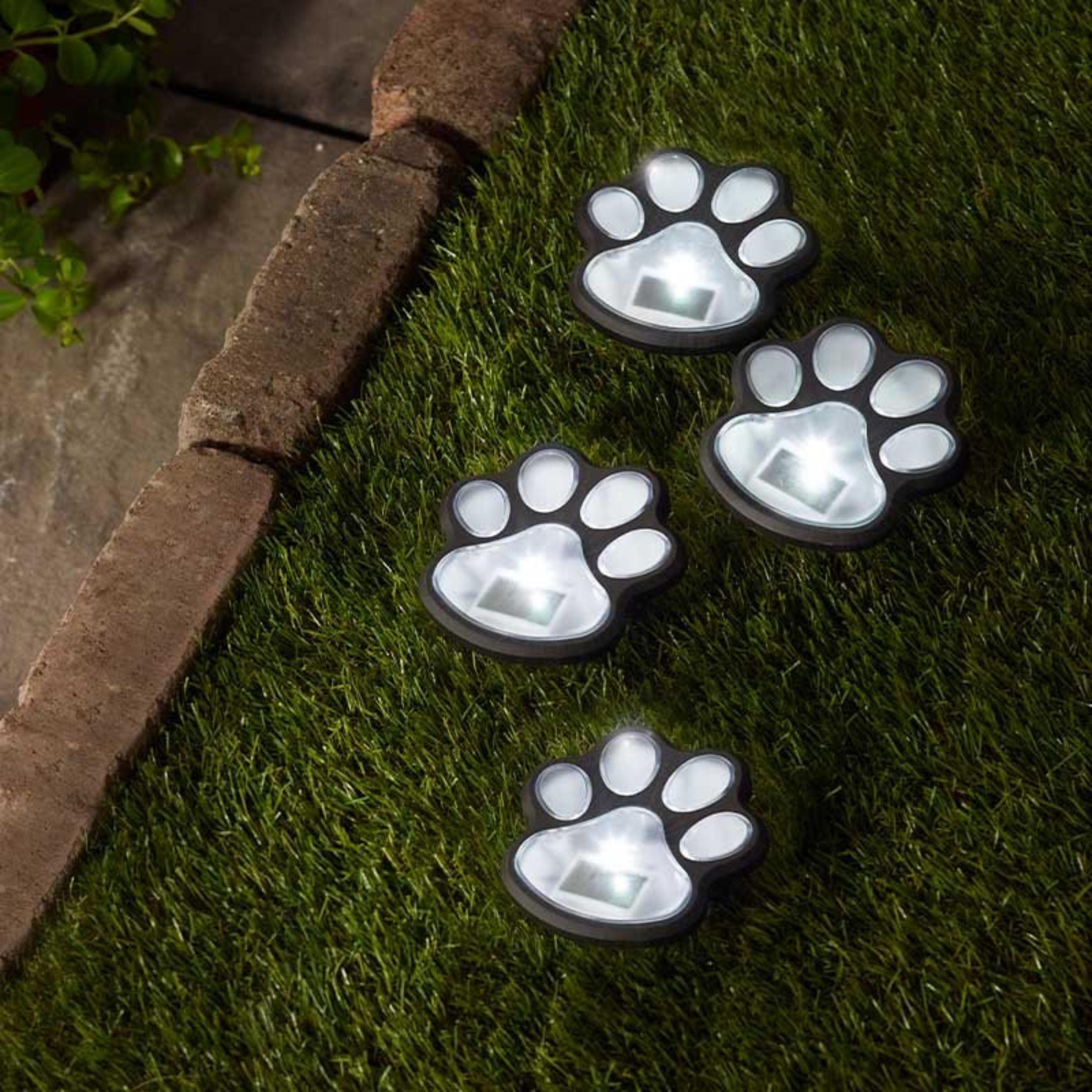 Solar PetPaws Stake Lights 4Pk