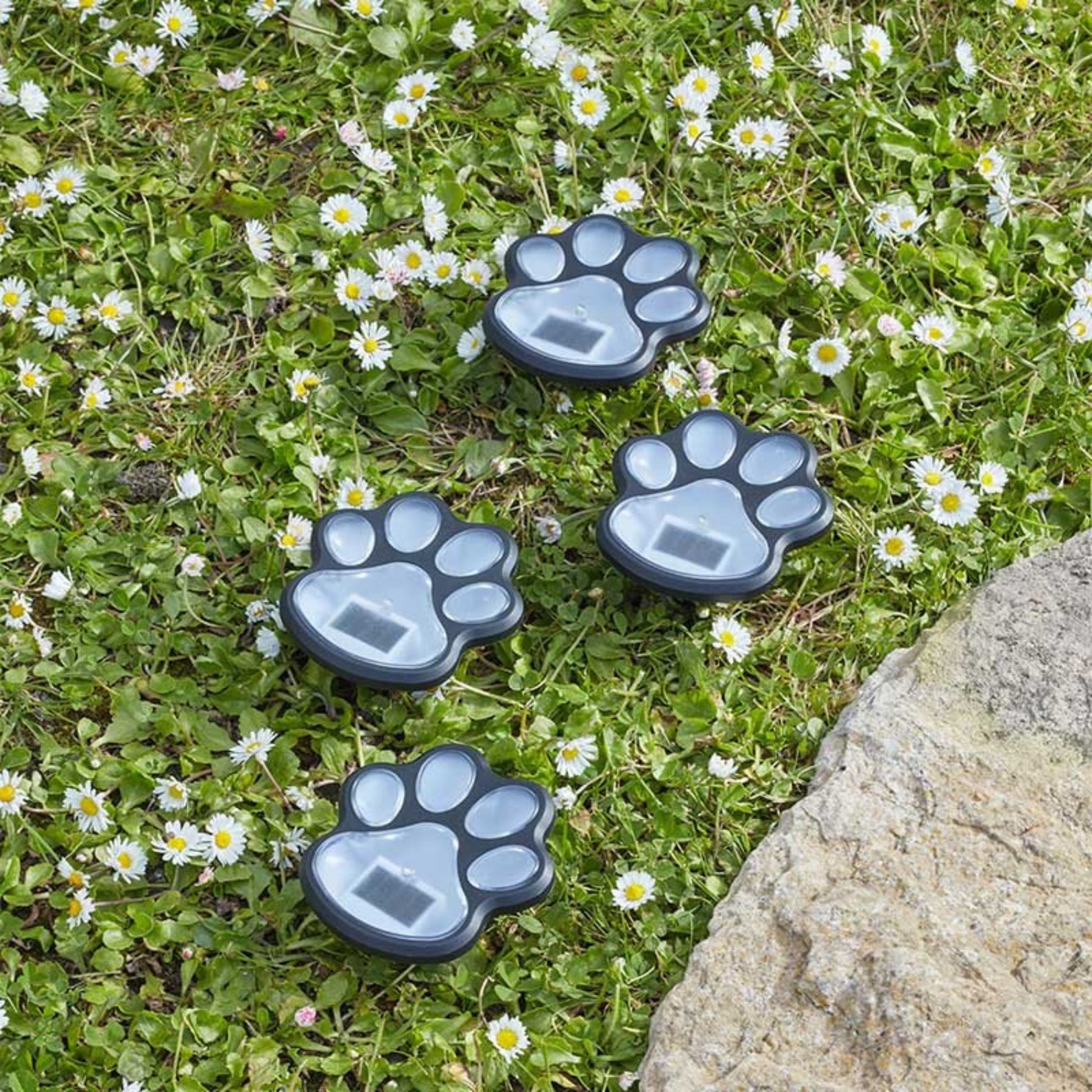 Solar PetPaws Stake Lights 4Pk