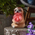 Sloth Sphere