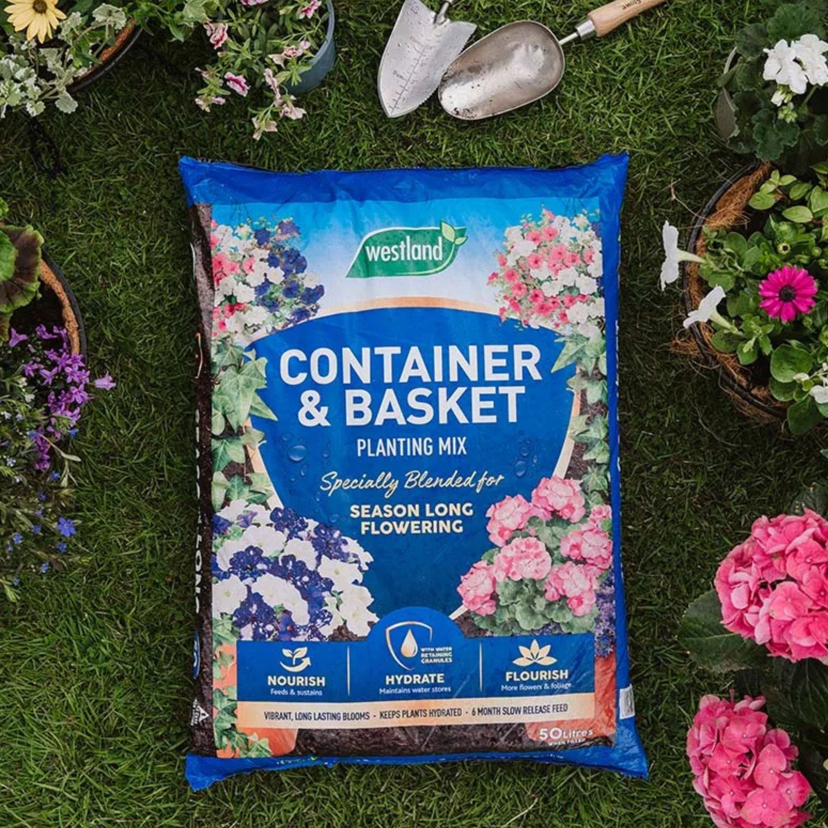 Westland Container & Basket (Moisture Control) 50L
