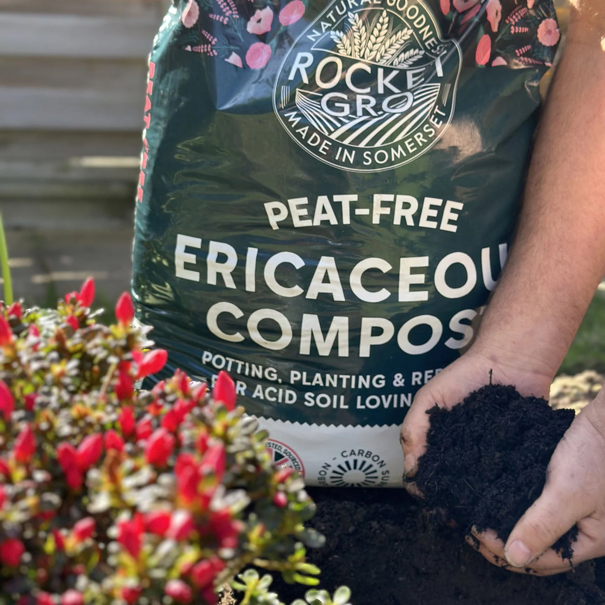 Peat Free Ericaceous Compost