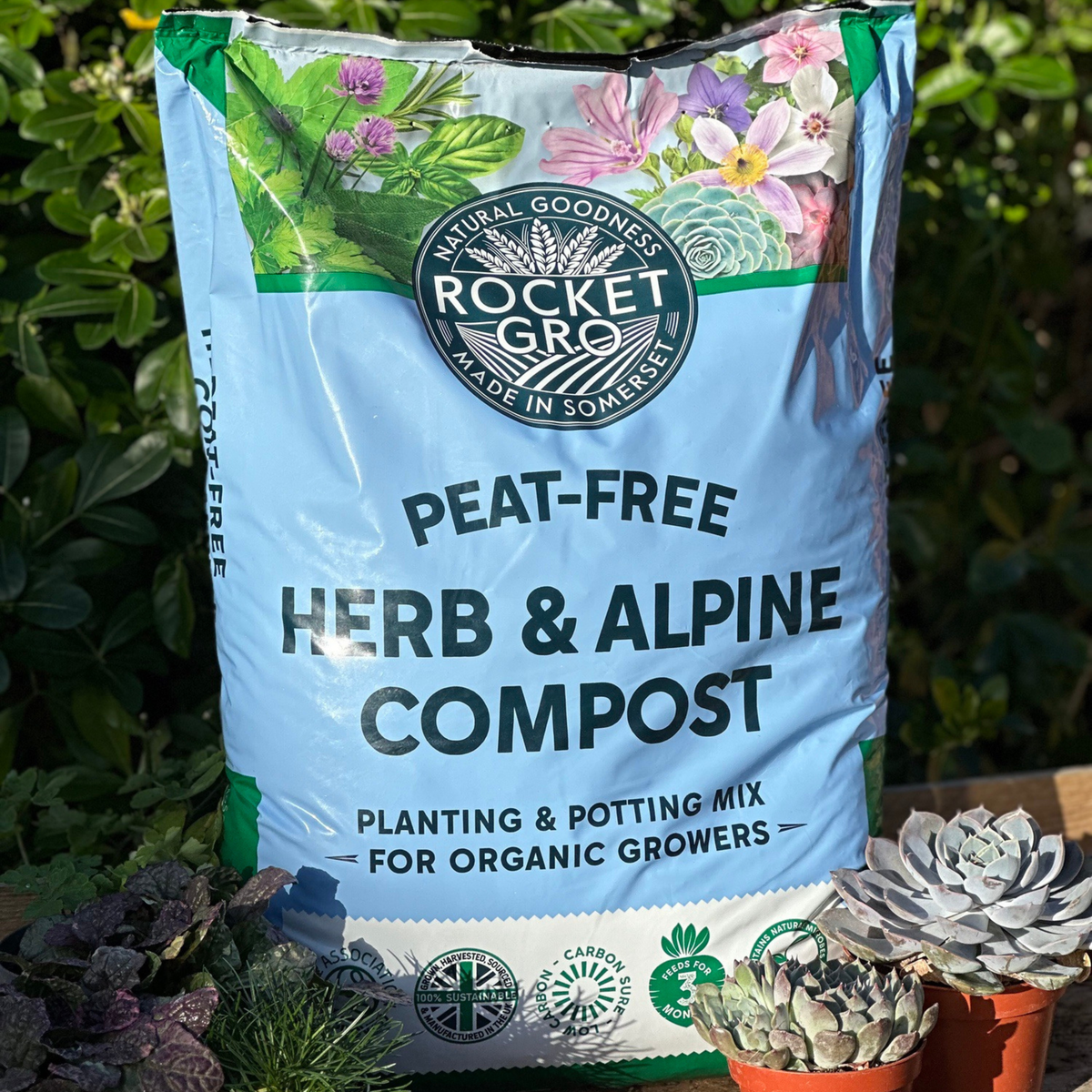 Herb & Alpine Compost