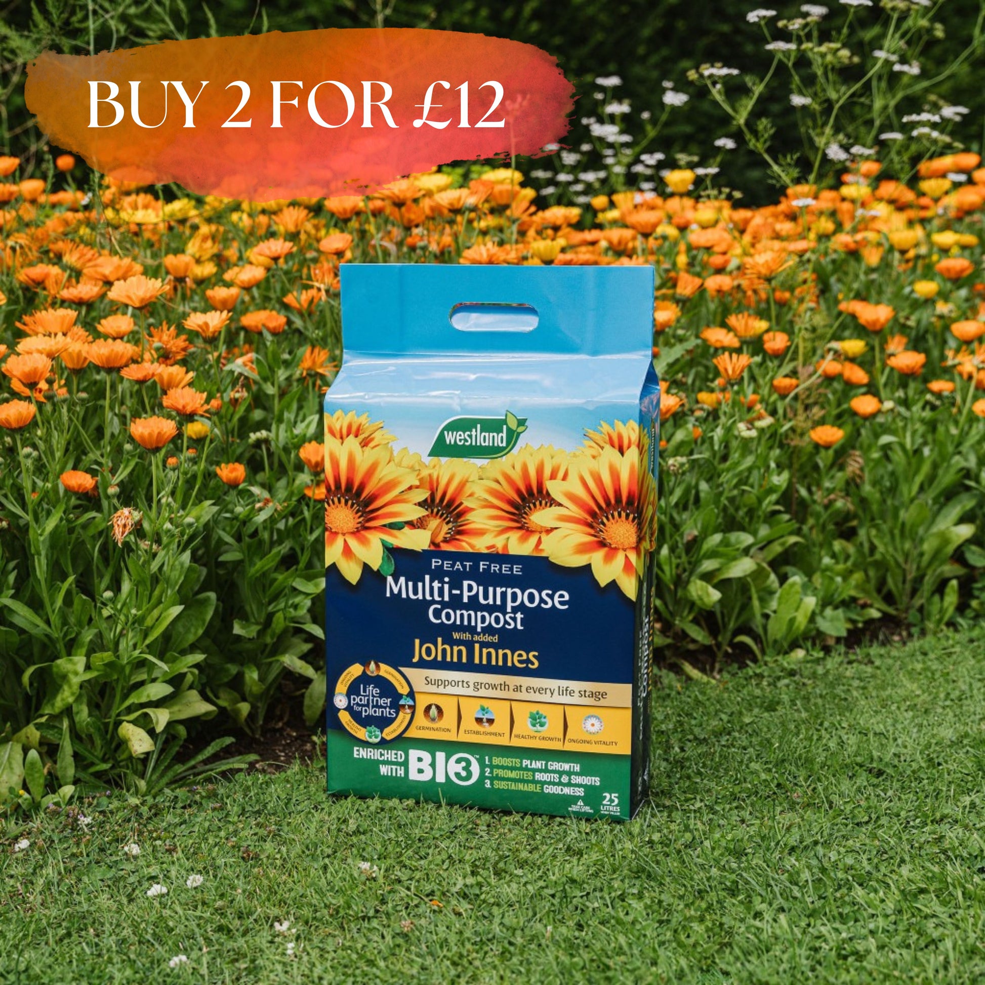 Westland Peat Free Multi-Purpose Compost with John Innes 25L