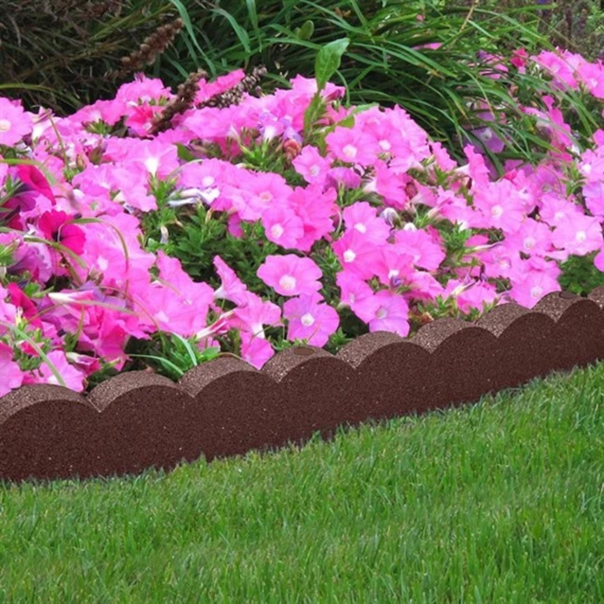 Flexi Curve Scallop Border Earth