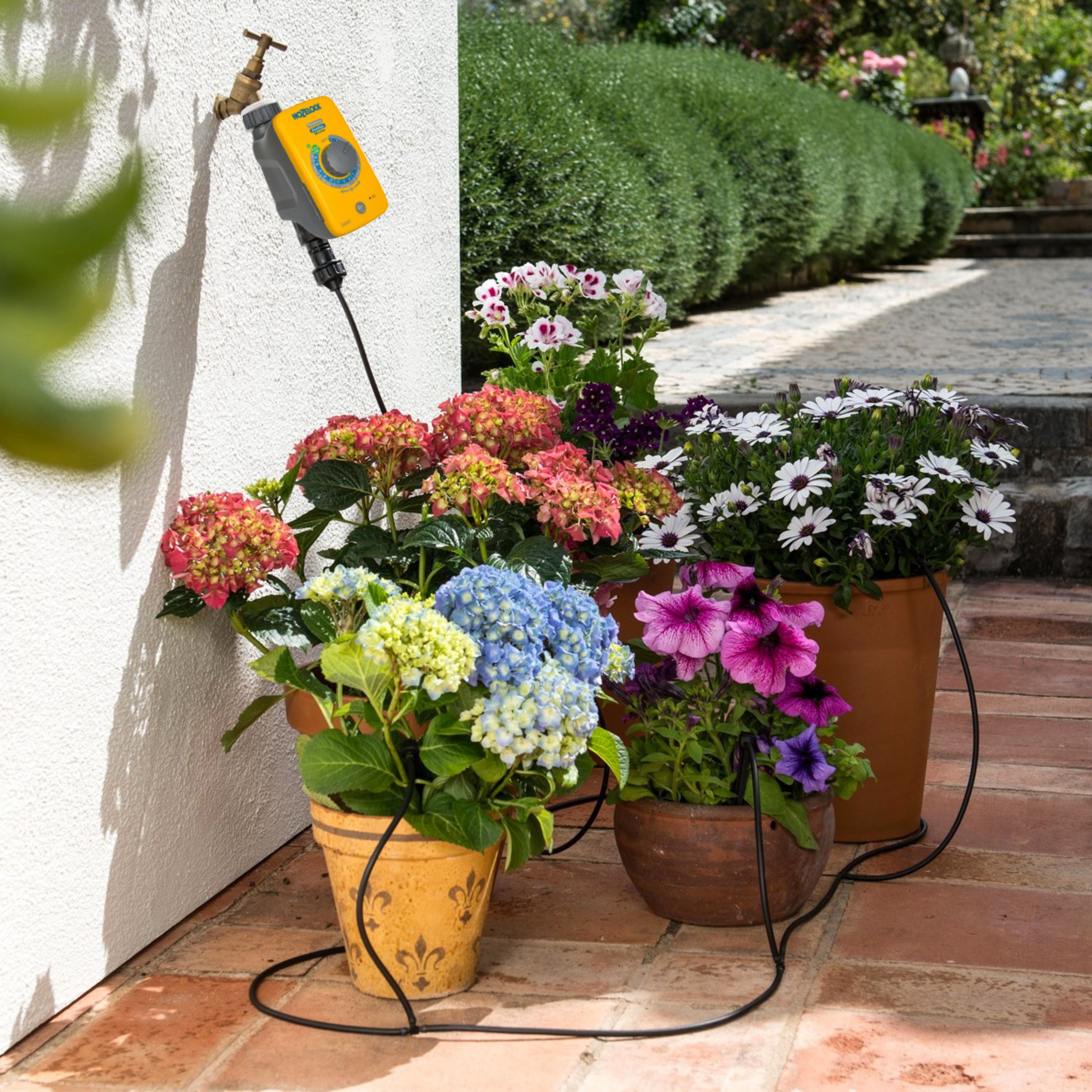 Hozelock 25 PSI Automatic Watering Kit