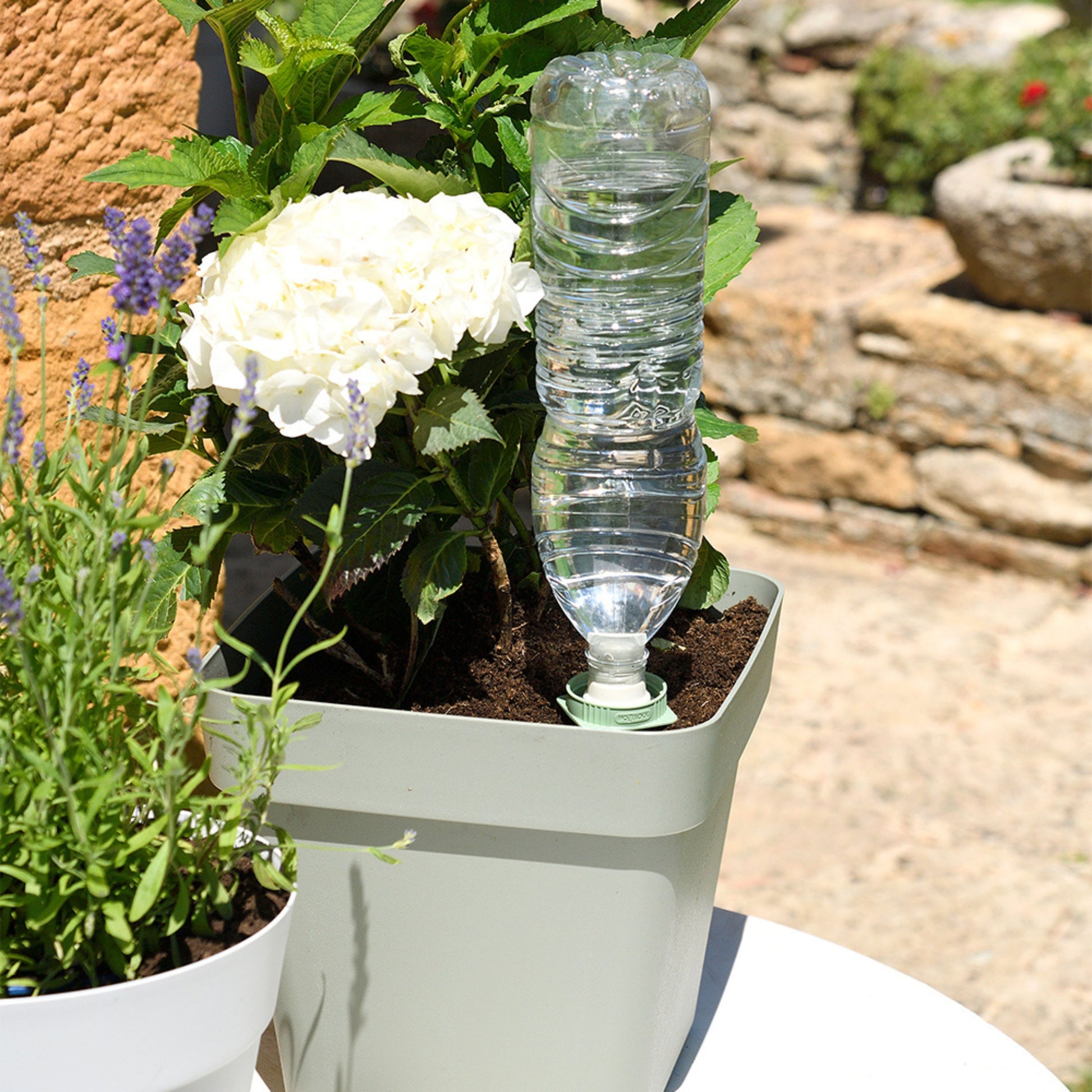 Hozelock Aquasolo Universal Watering Cone Grey