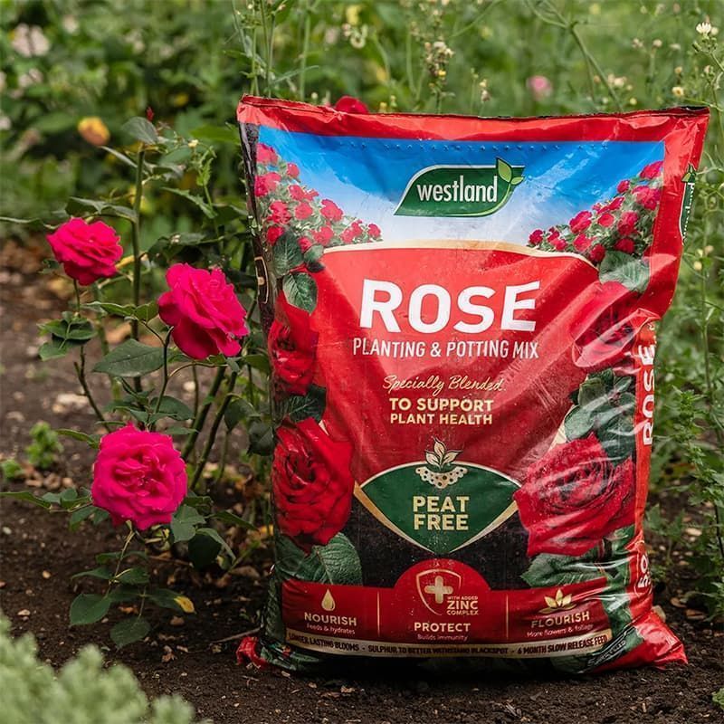 Westland Rose Planting & Potting Mix 50L