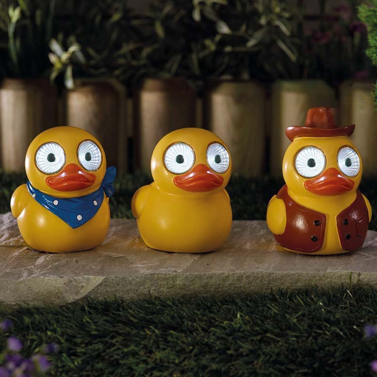 Lucky Ducky