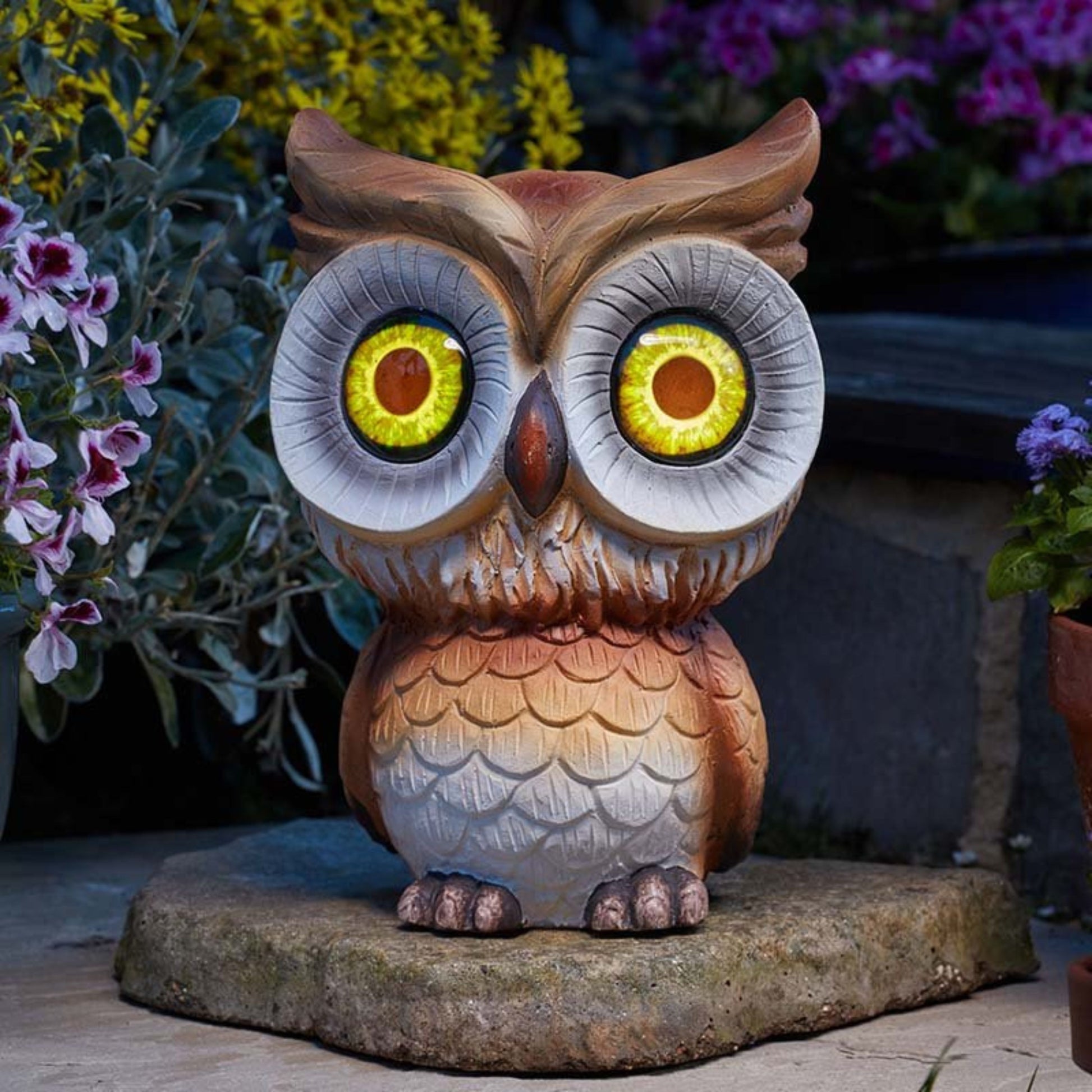 Owl Eyes