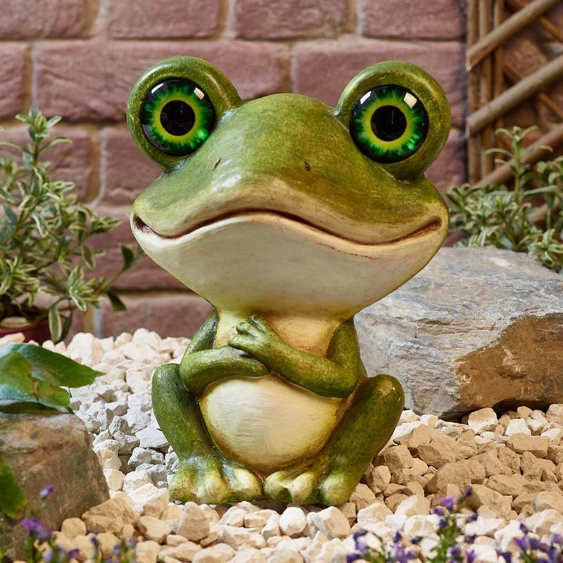 Frog Eyes