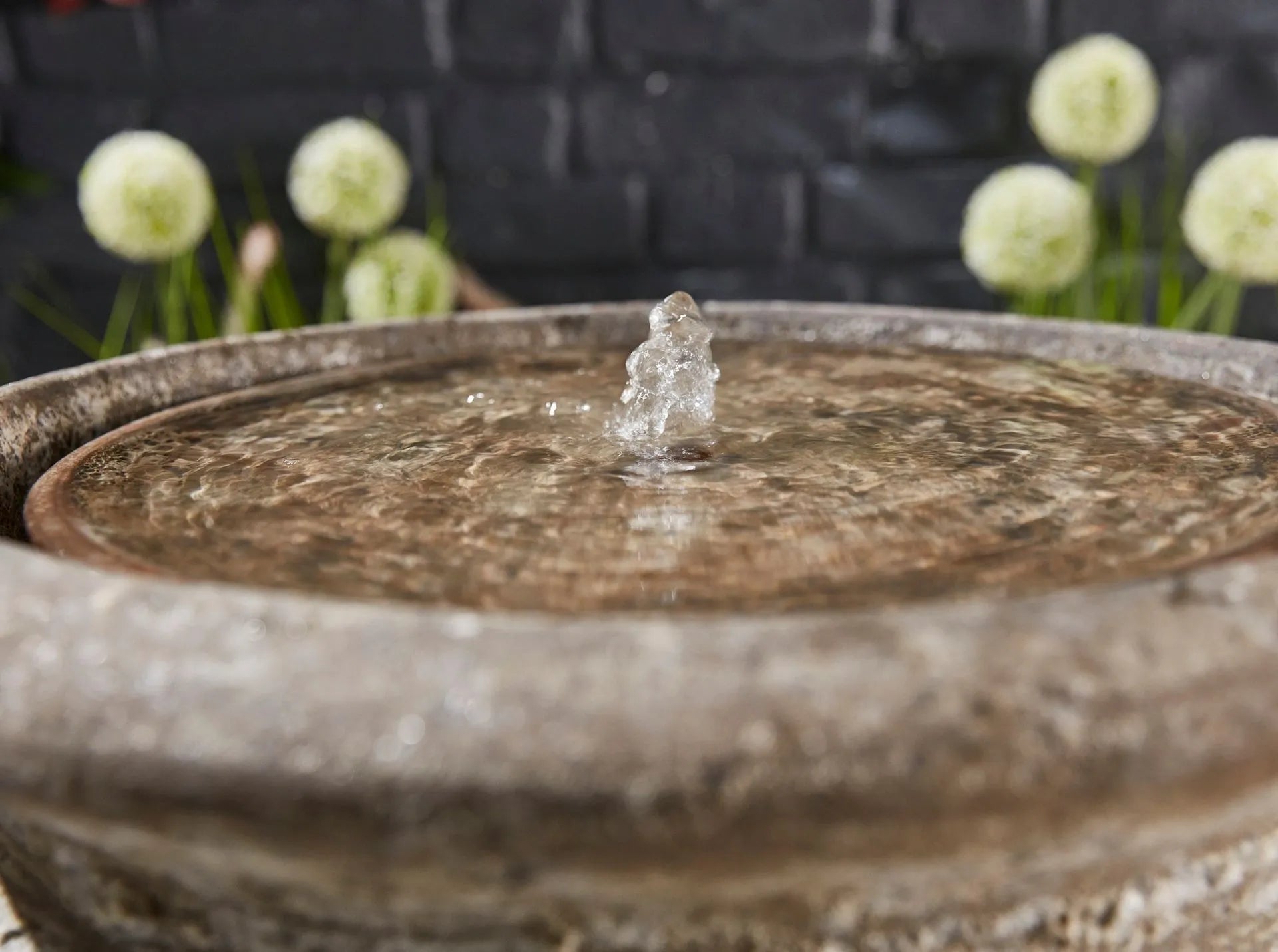 Altico Leona Fountain